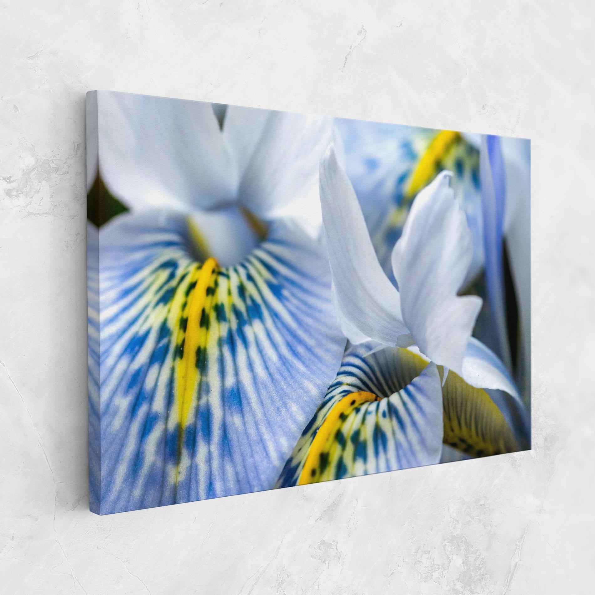 Leinwandbild Blue Yellow Iris mockup 1
