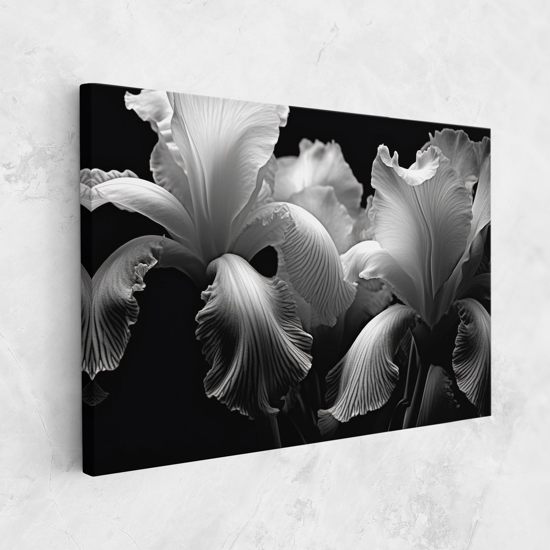 Grey Iris mockup 1