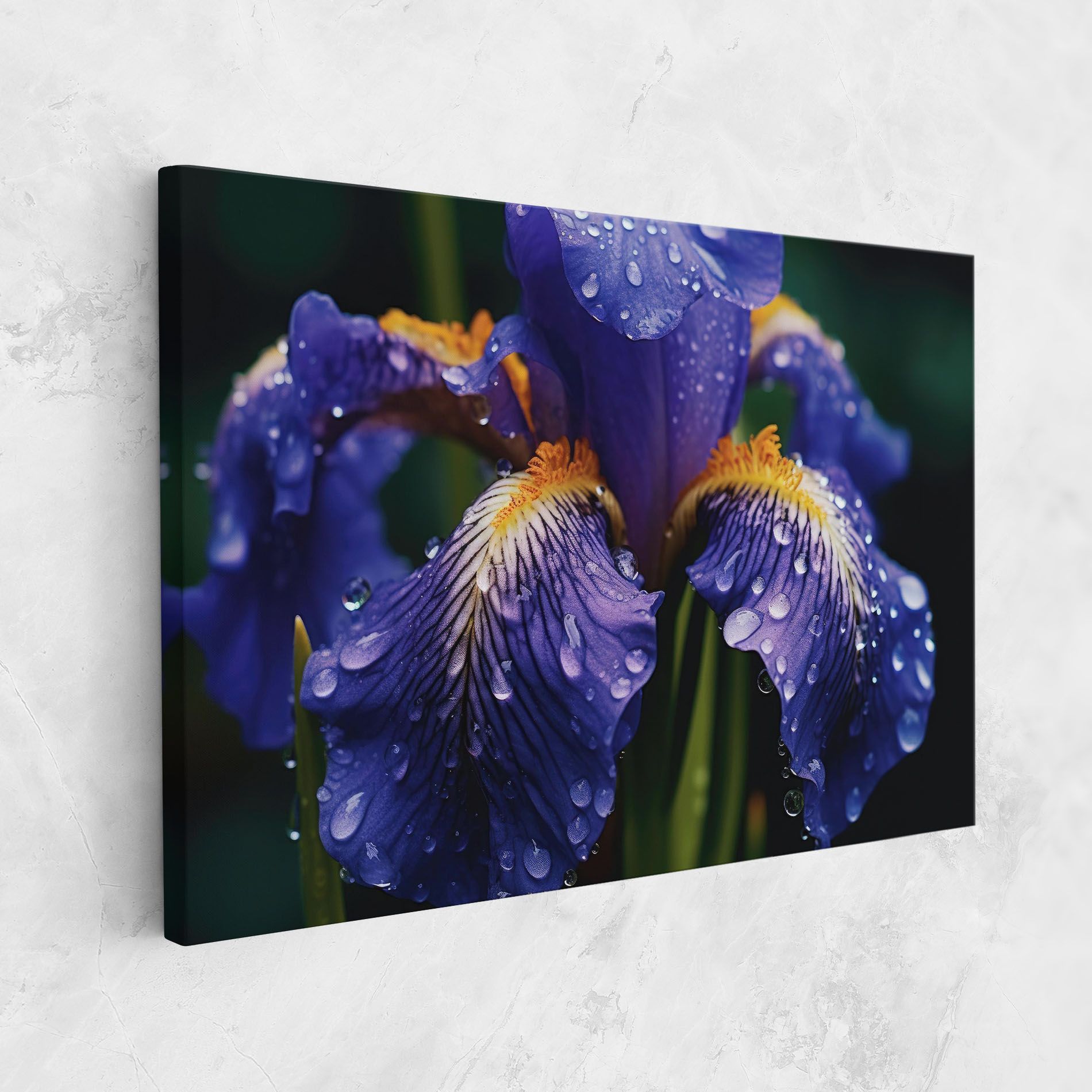 Iris After Rain mockup 1