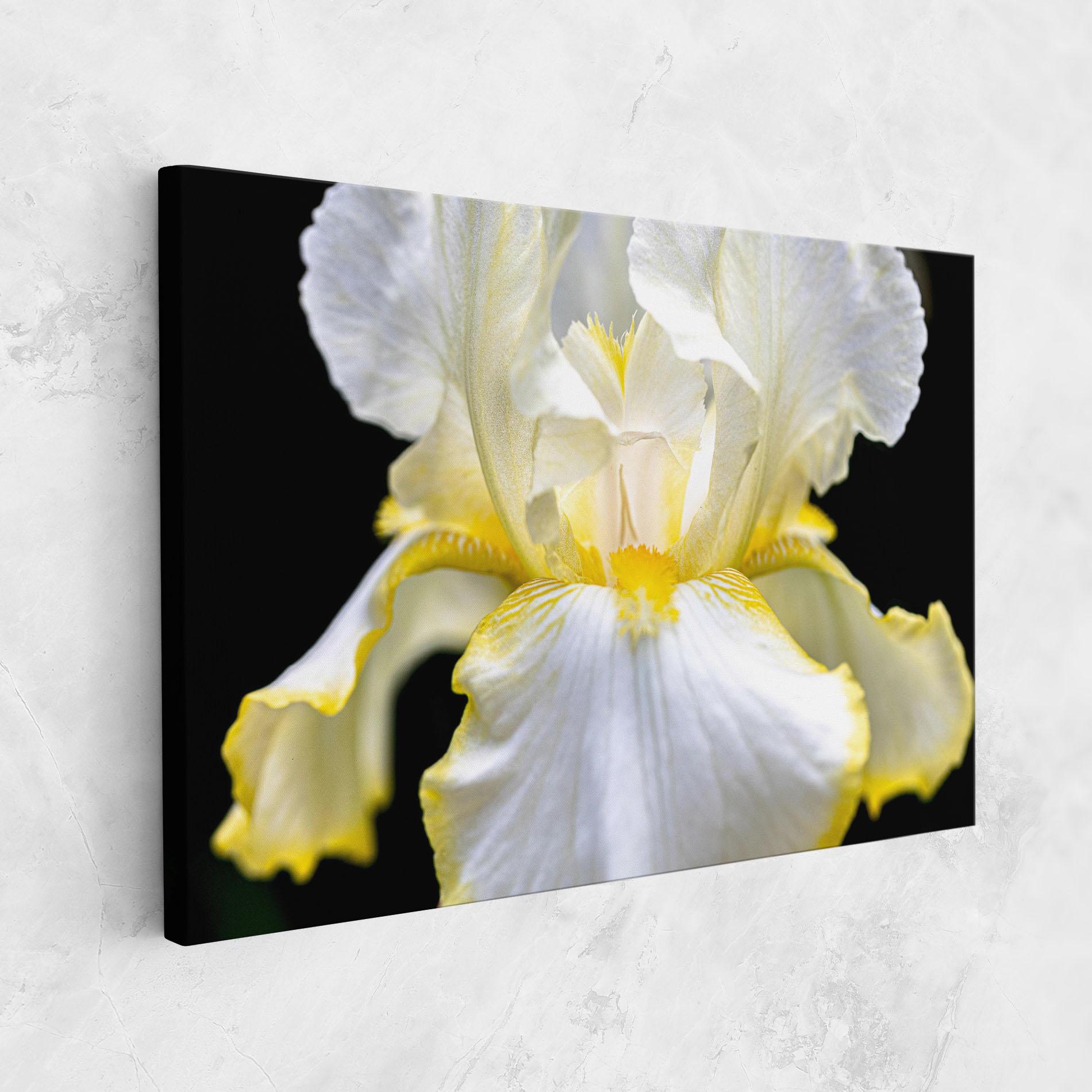 Leinwandbild White Yellow Iris mockup 1
