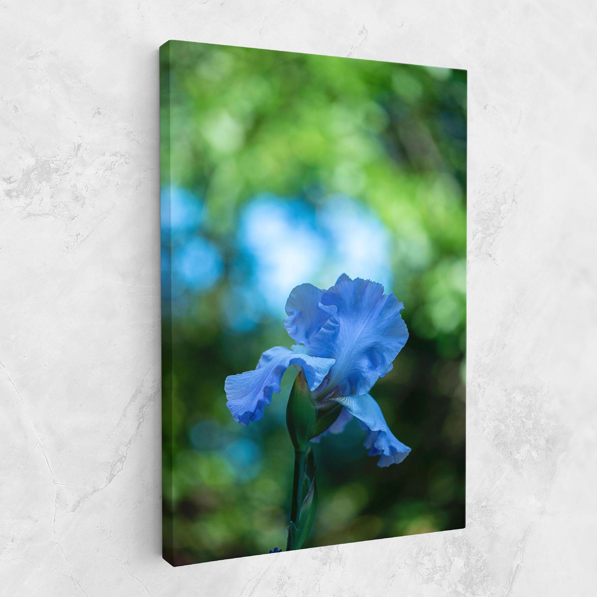 Leinwandbild Blue Iris In The Garden mockup 1
