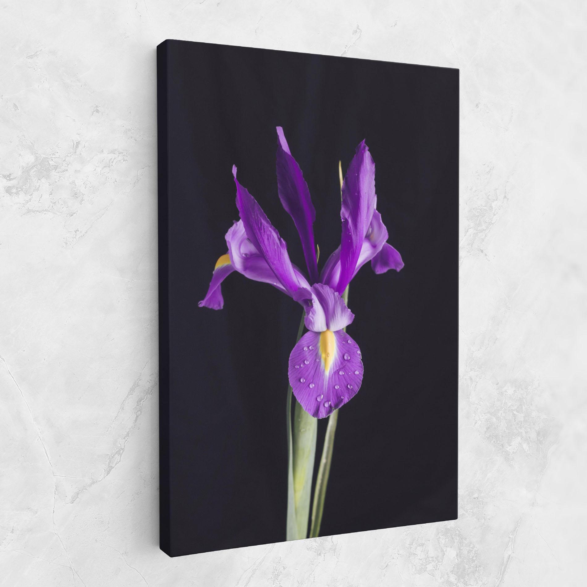 Leinwandbild Fresh Purple Iris mockup 1