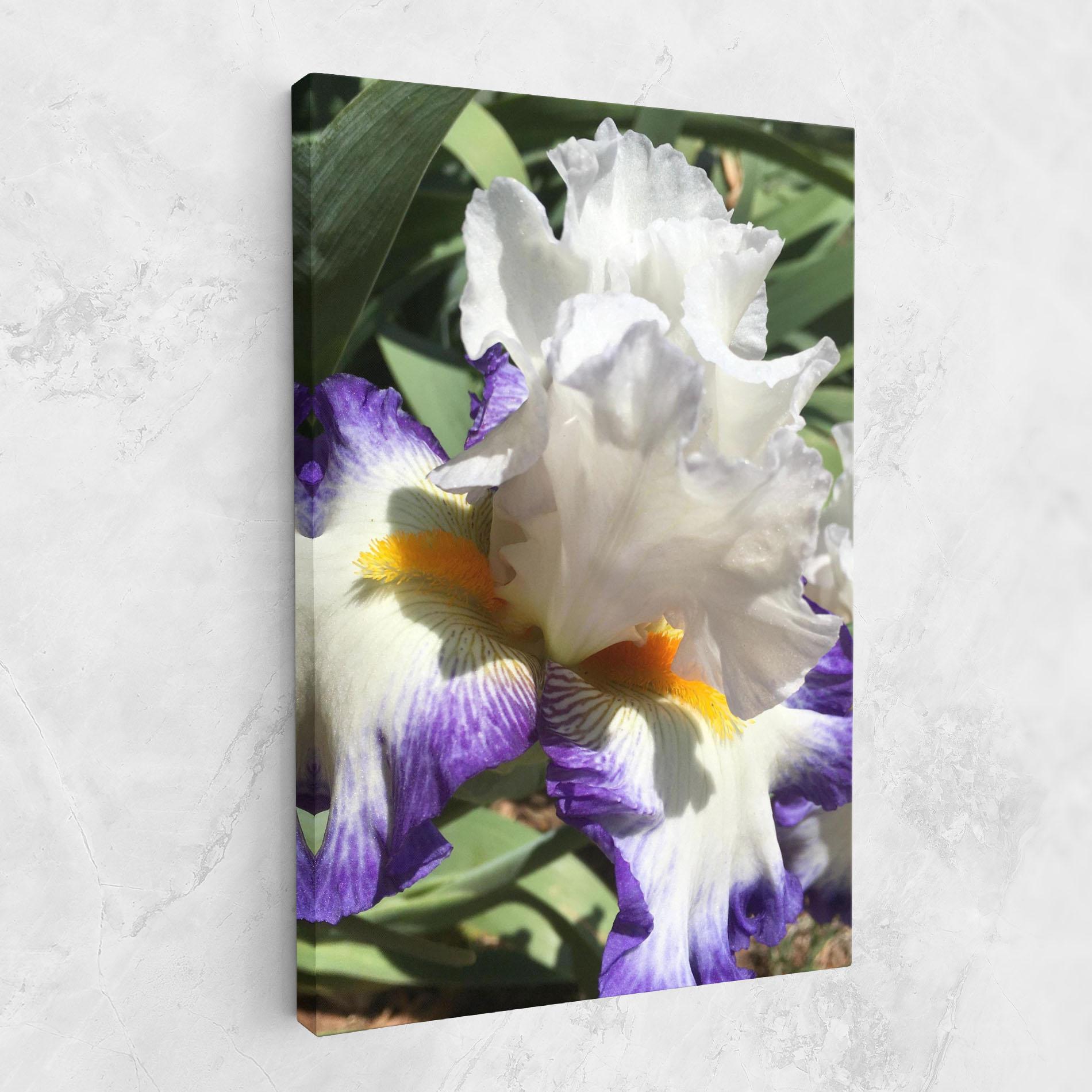 Leinwandbild Garden White Purple Irirs mockup 1