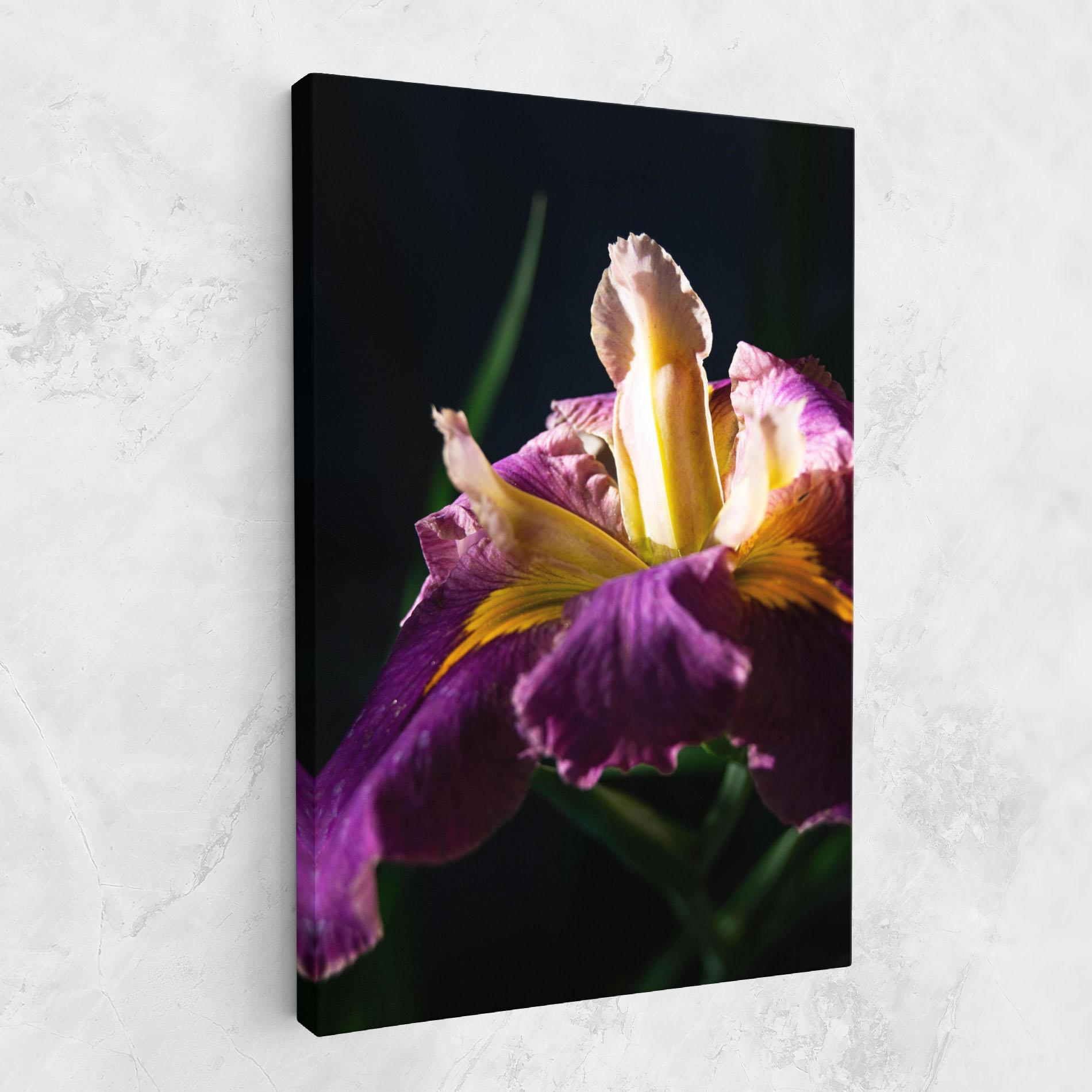 Leinwandbild Pastel Yellow Iris mockup 1