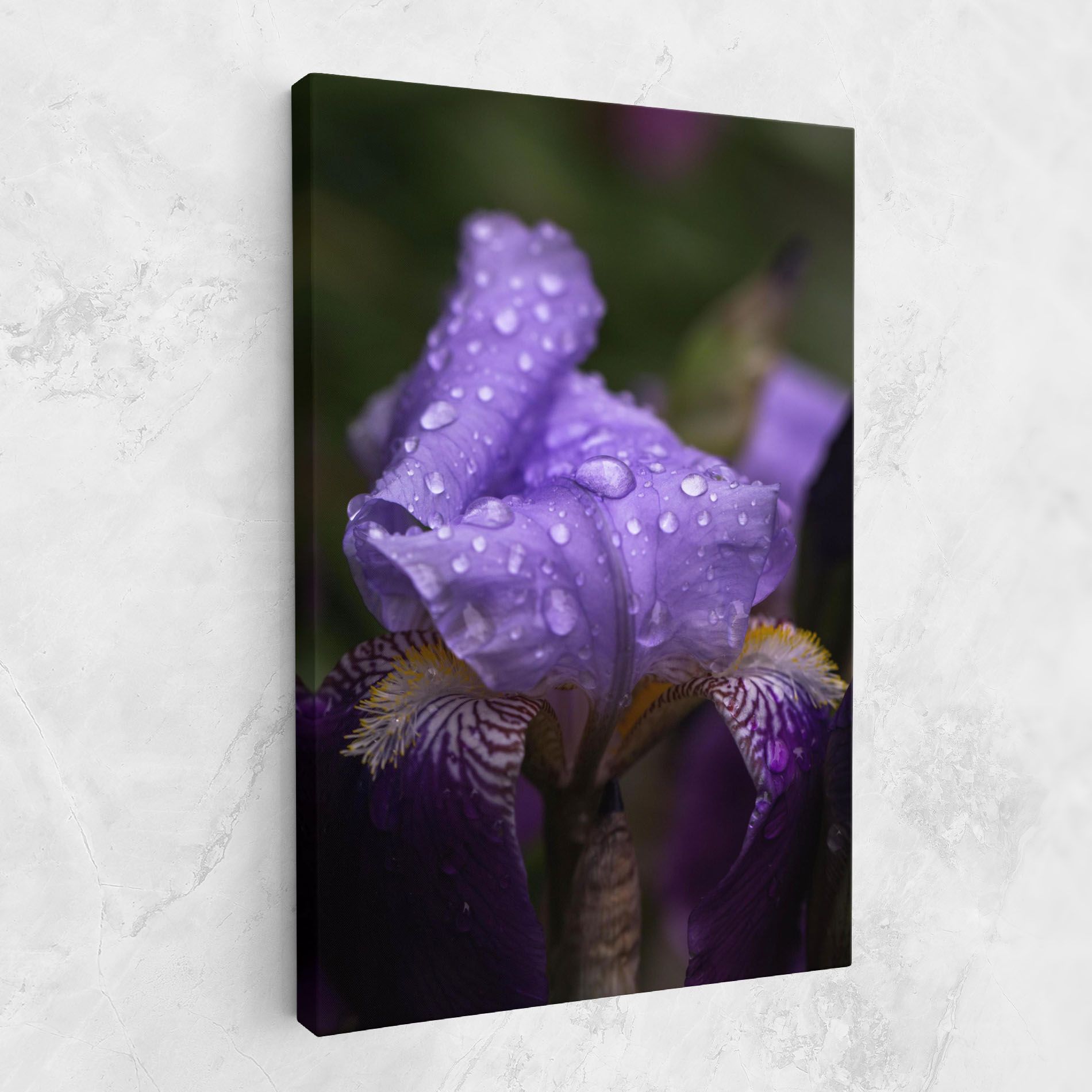 Rain In The Garden mockup 1