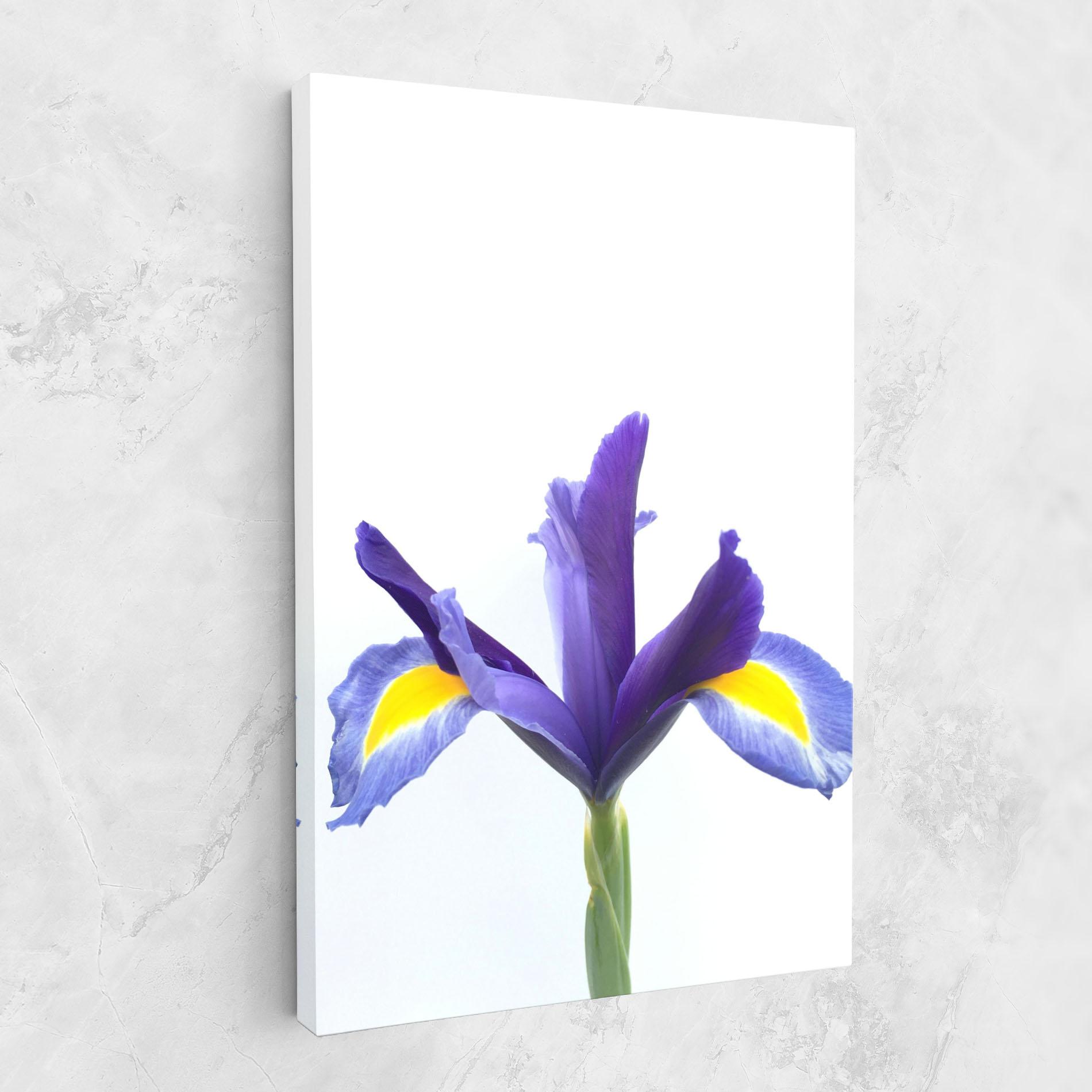 Leinwandbild Yellow Color Iris mockup 1