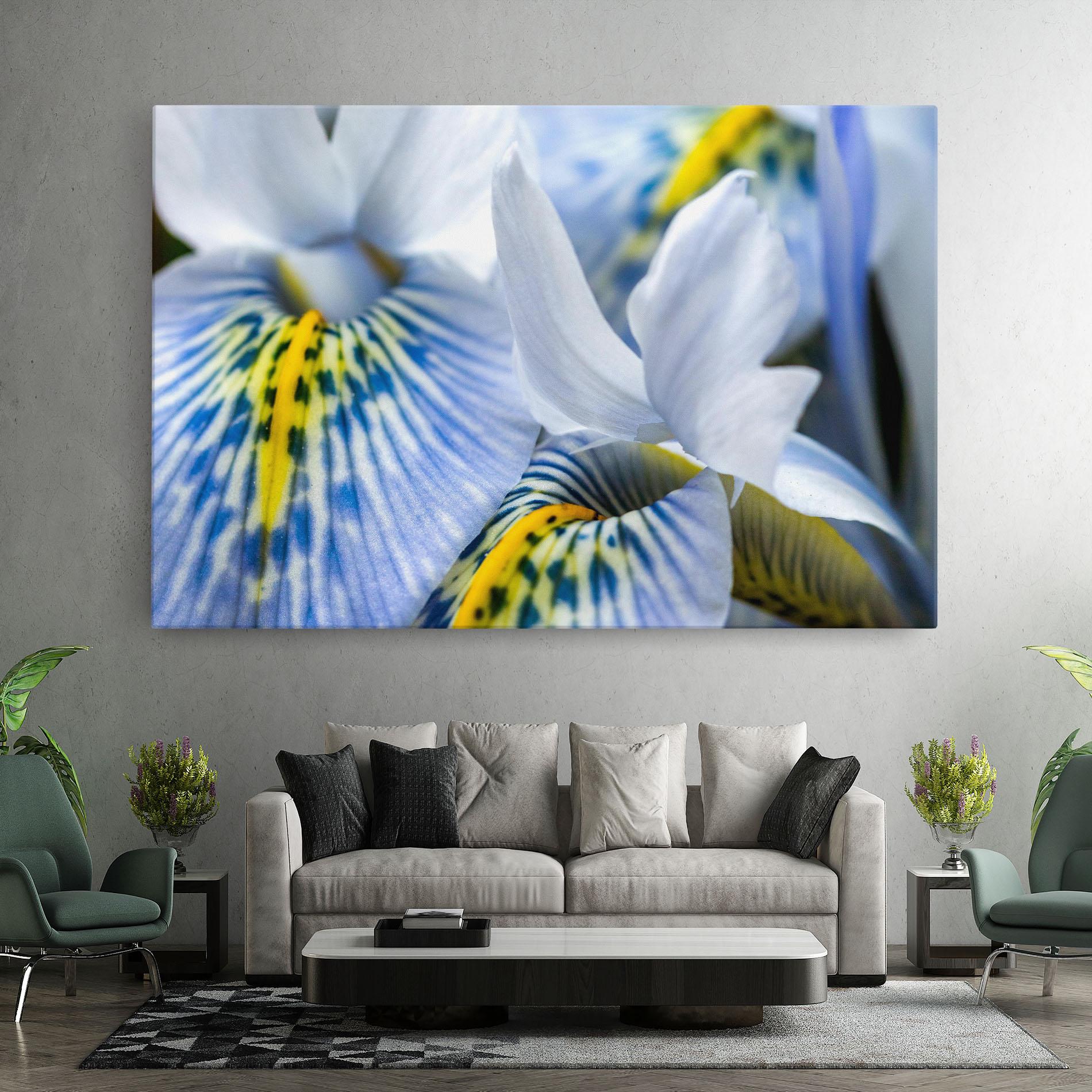 Leinwandbild Blue Yellow Iris mockup 7
