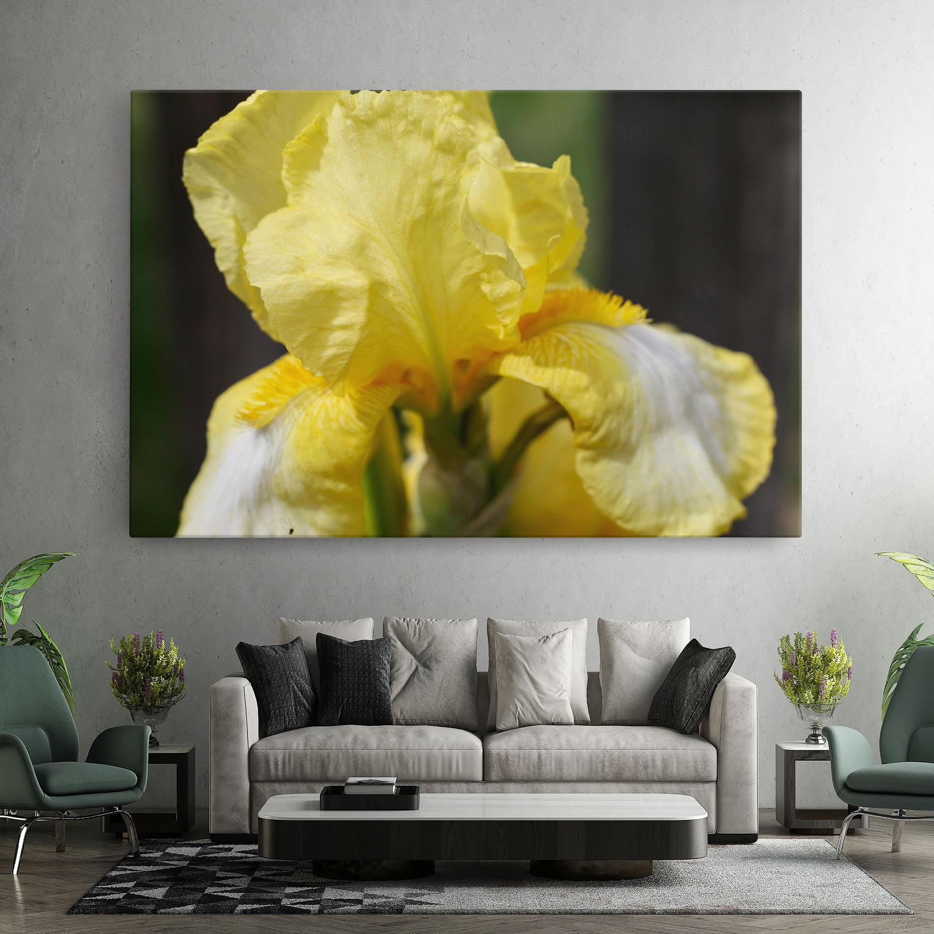 Leinwandbild Garden Yellow Iris mockup 7