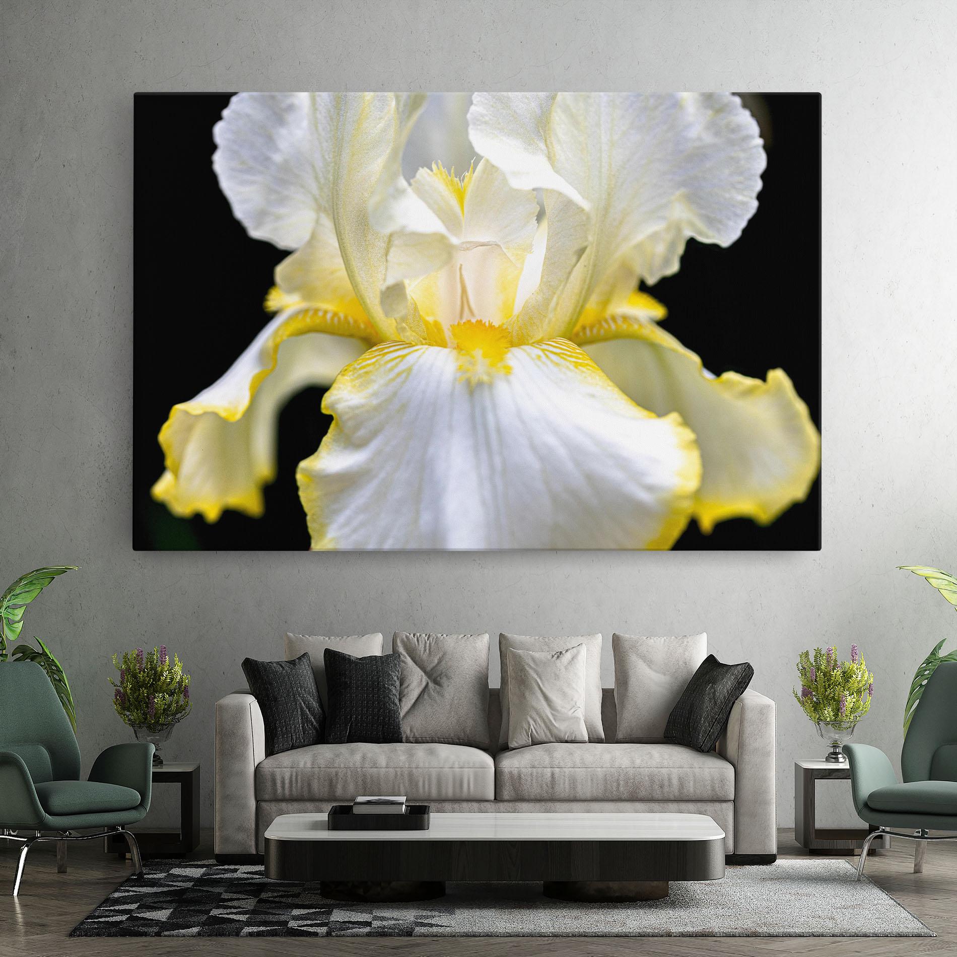 Leinwandbild White Yellow Iris mockup 7