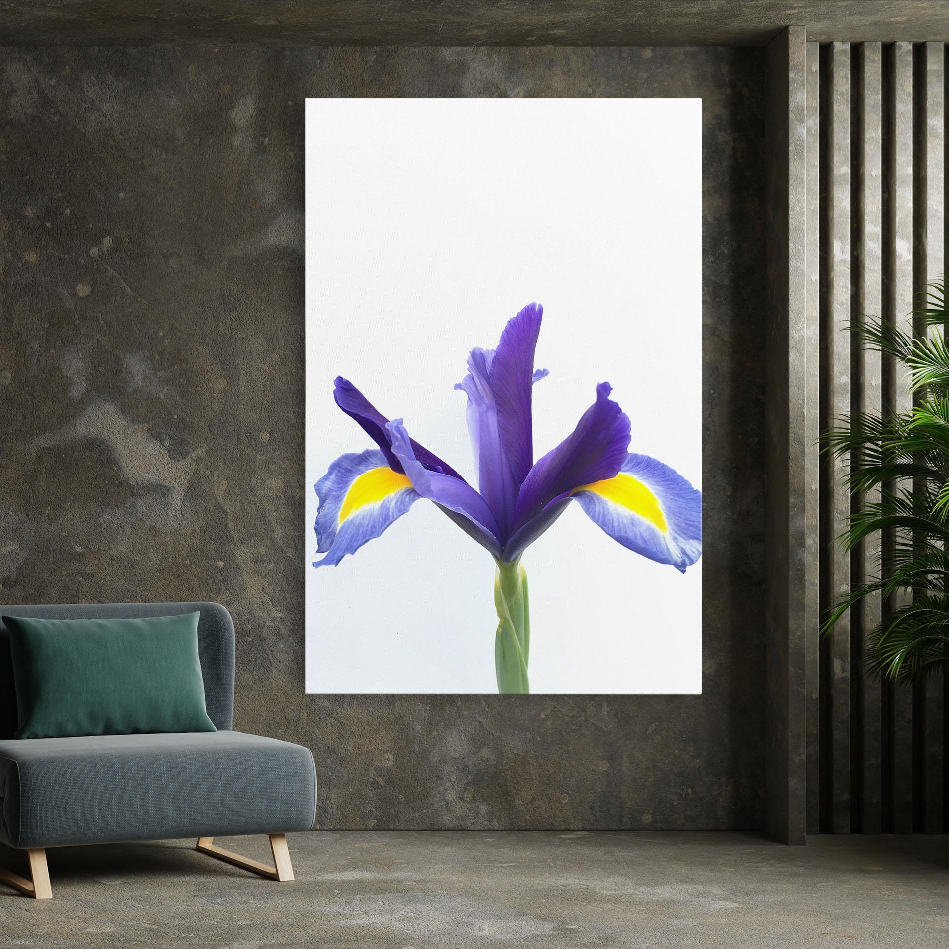 Leinwandbild Yellow Color Iris mockup 7