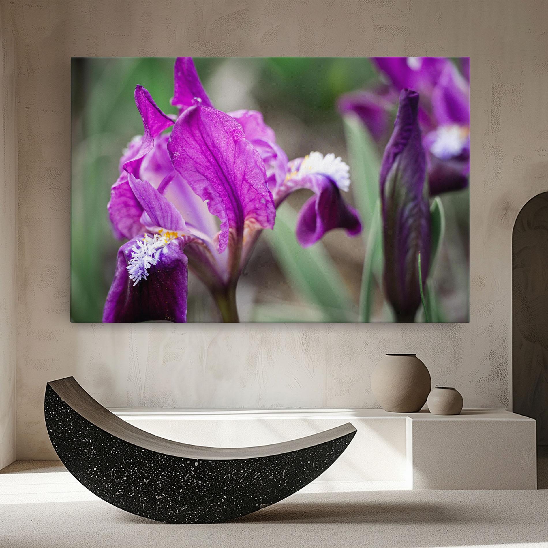 Leinwandbild Dark Pink Iris mockup 8