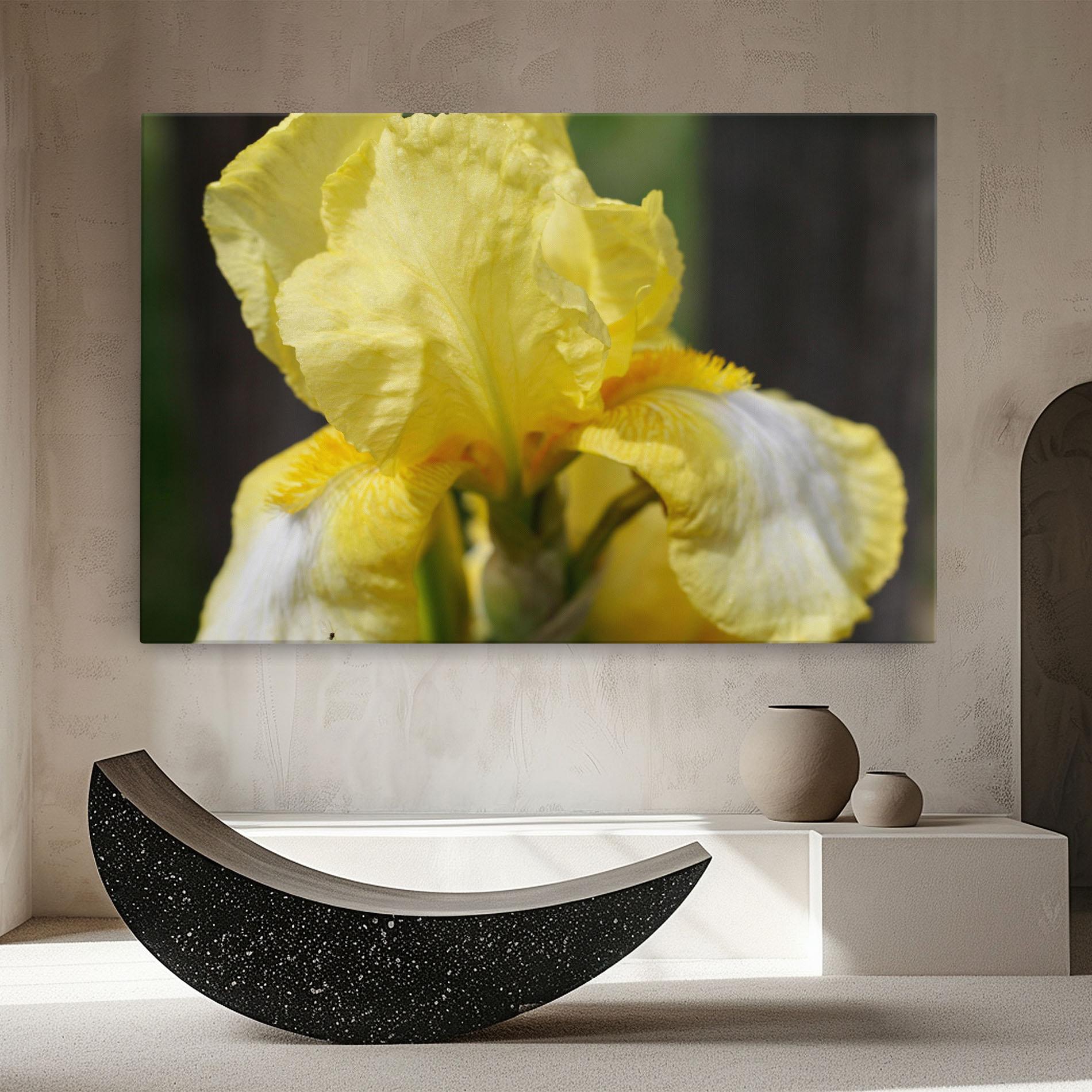 Leinwandbild Garden Yellow Iris mockup 8