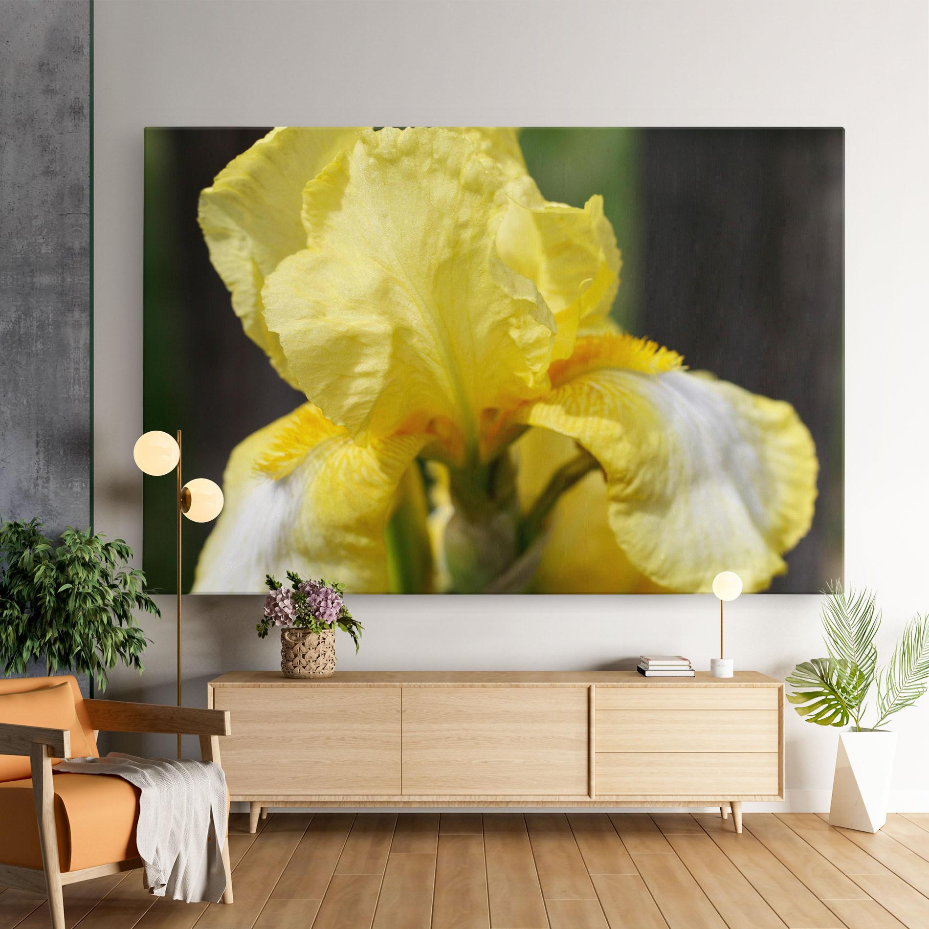 Leinwandbild Garden Yellow Iris mockup 9