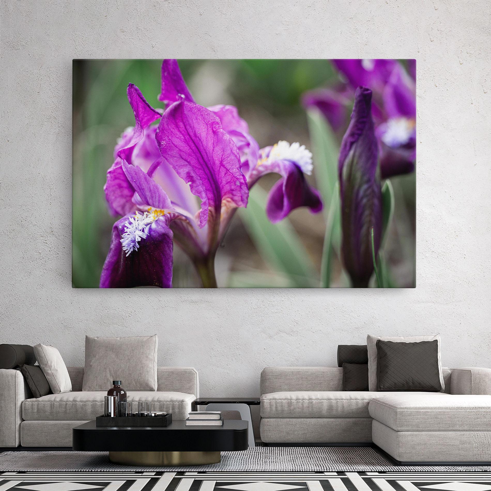 Leinwandbild Dark Pink Iris mockup 2