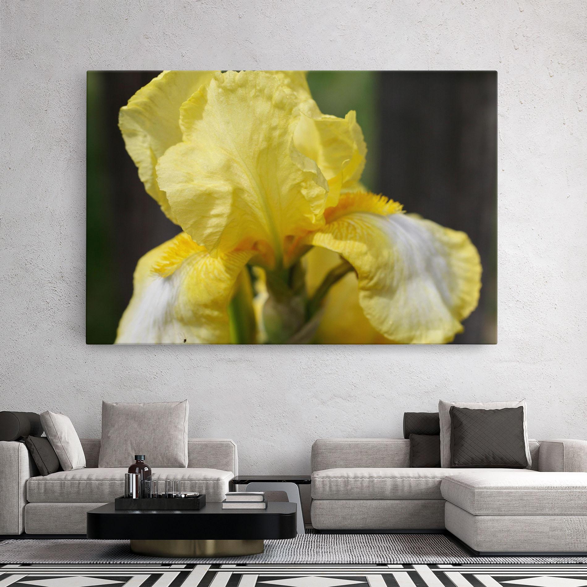 Leinwandbild Garden Yellow Iris mockup 2