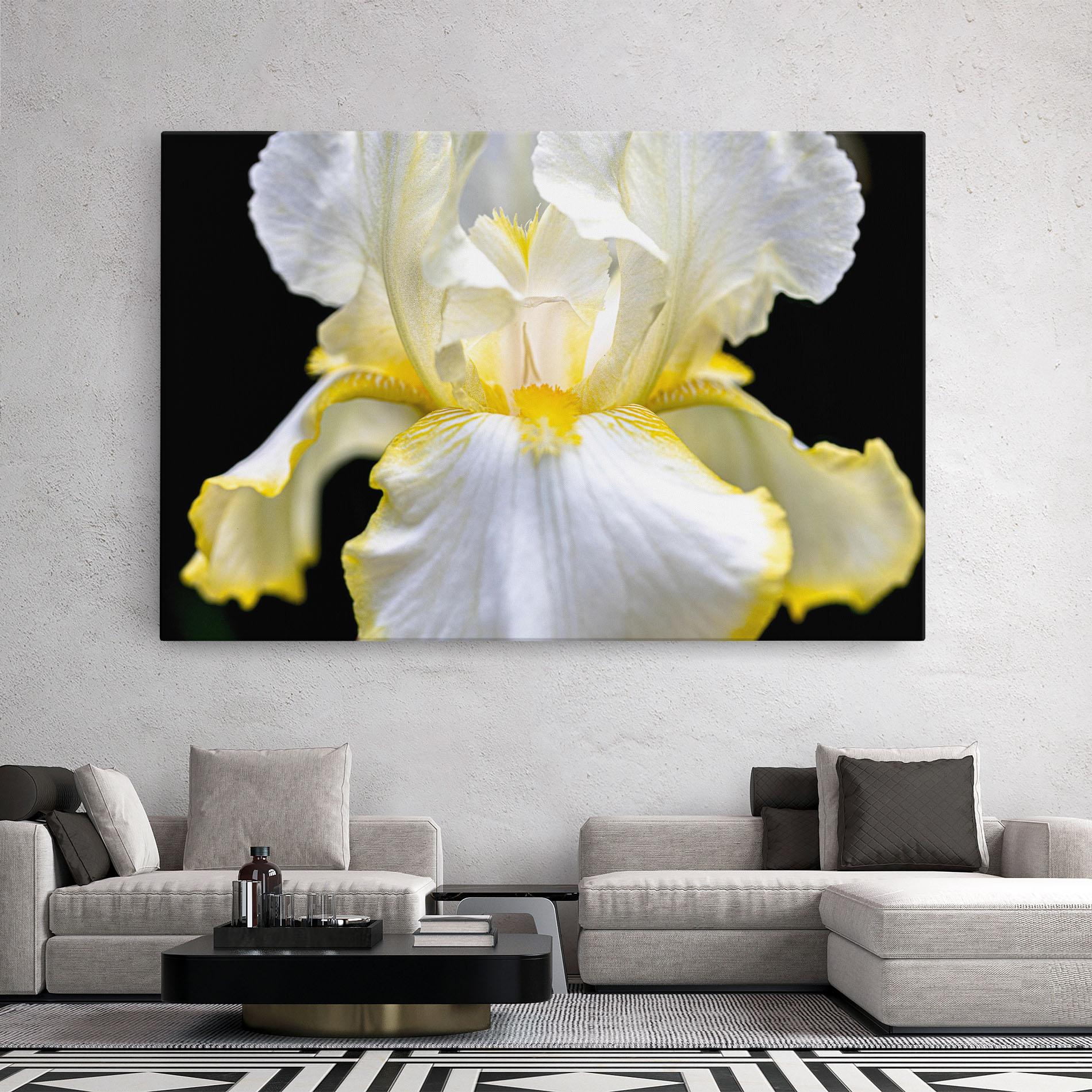 Leinwandbild White Yellow Iris mockup 2
