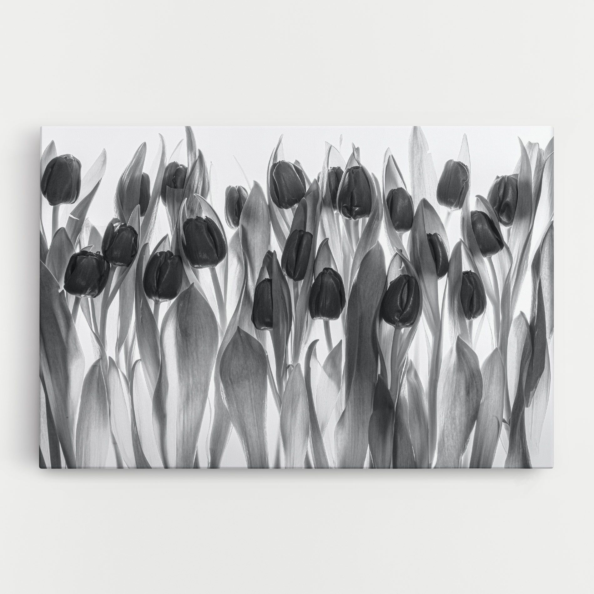 Grey Tulips mockup 0
