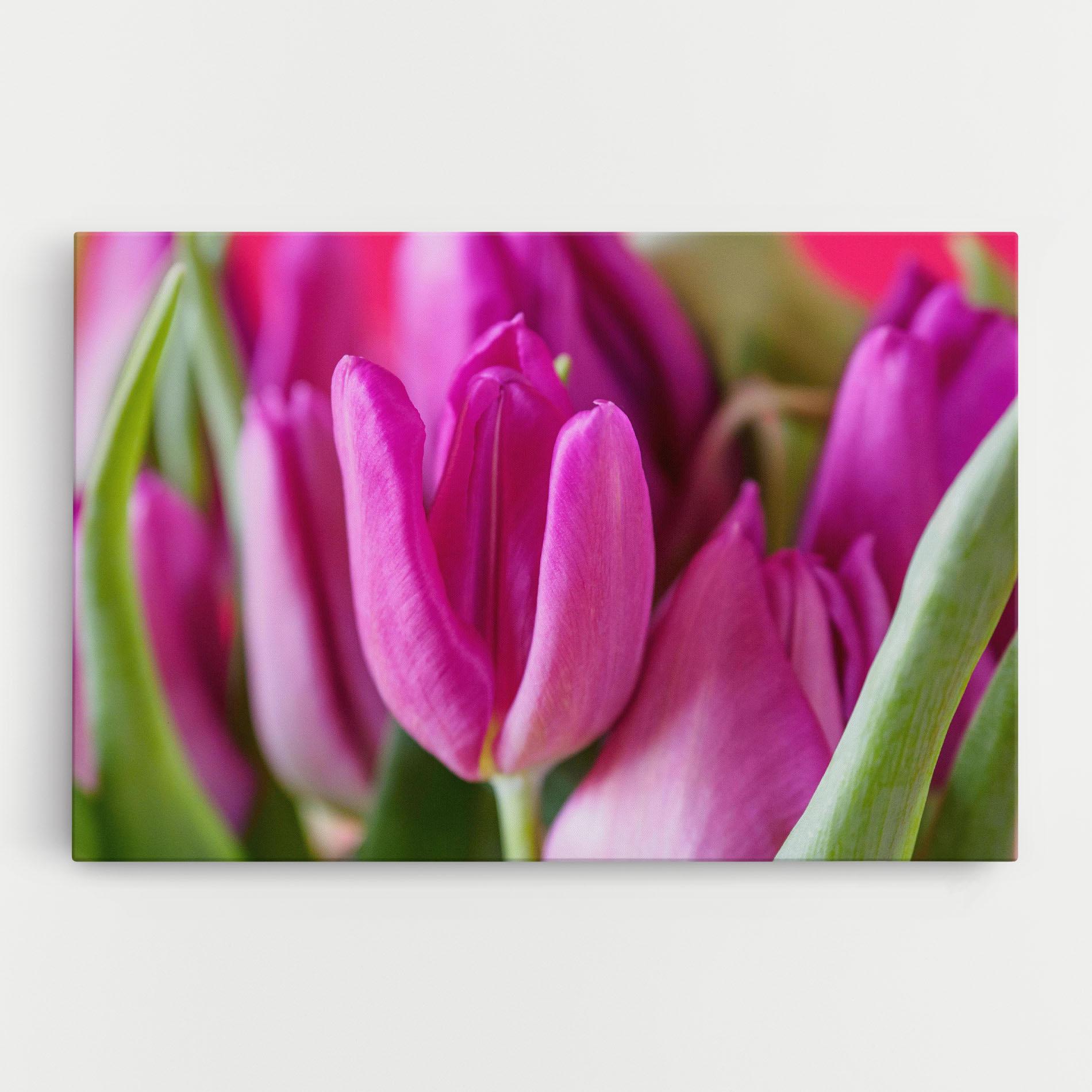 Leinwandbild Purple Tulip Close Up mockup 0
