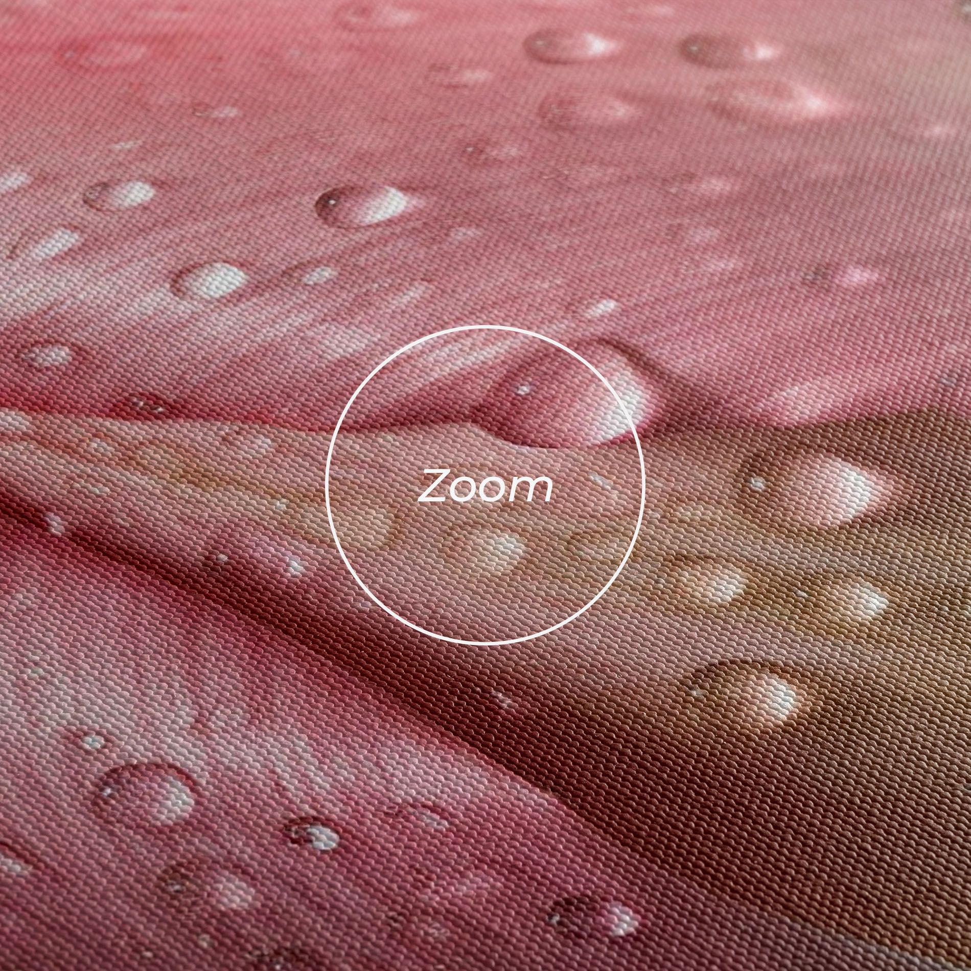 Pink Tulip With Drops mockup 3