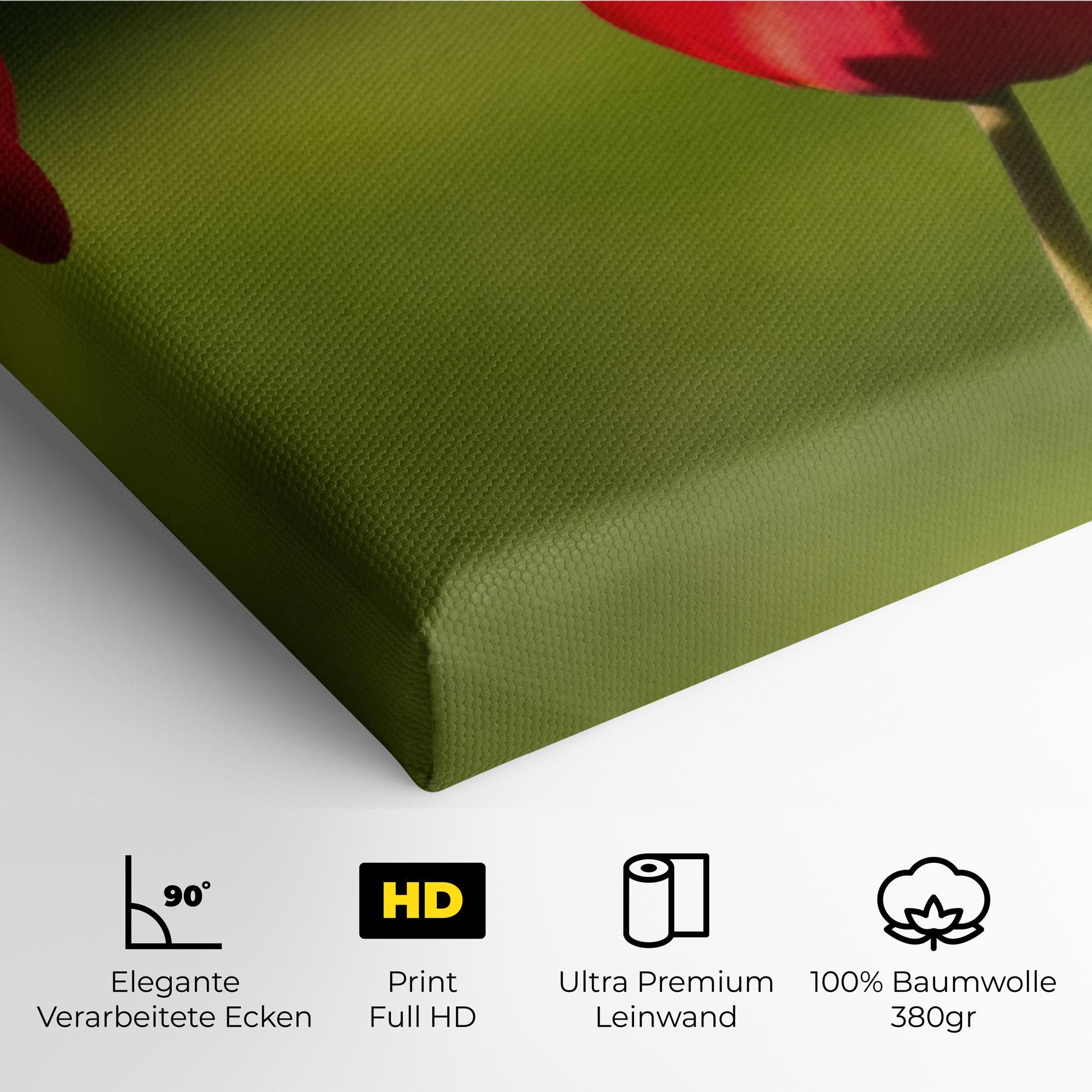 3 Red Tulips mockup 4