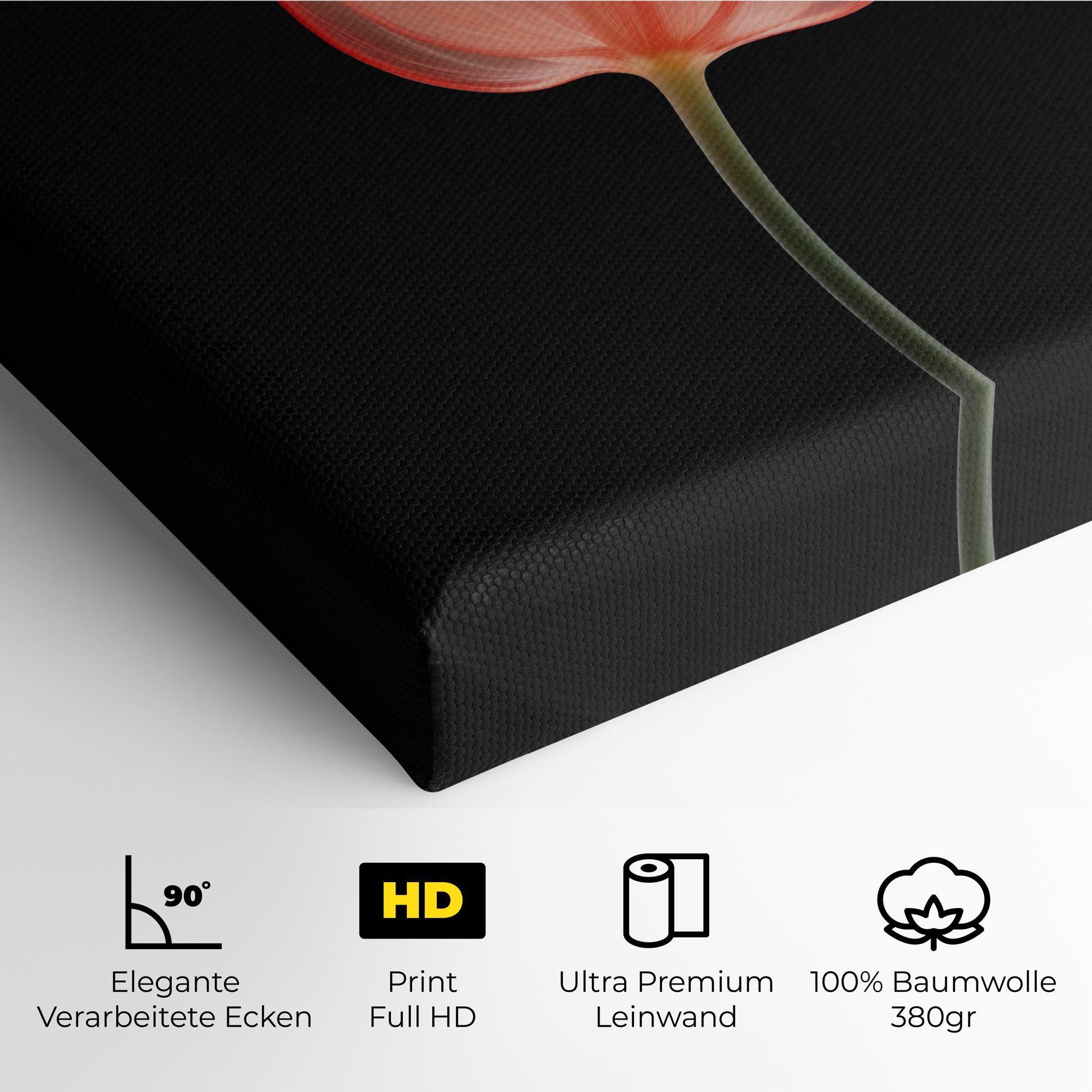 Leinwandbild Pastel Pink Tulip mockup 4