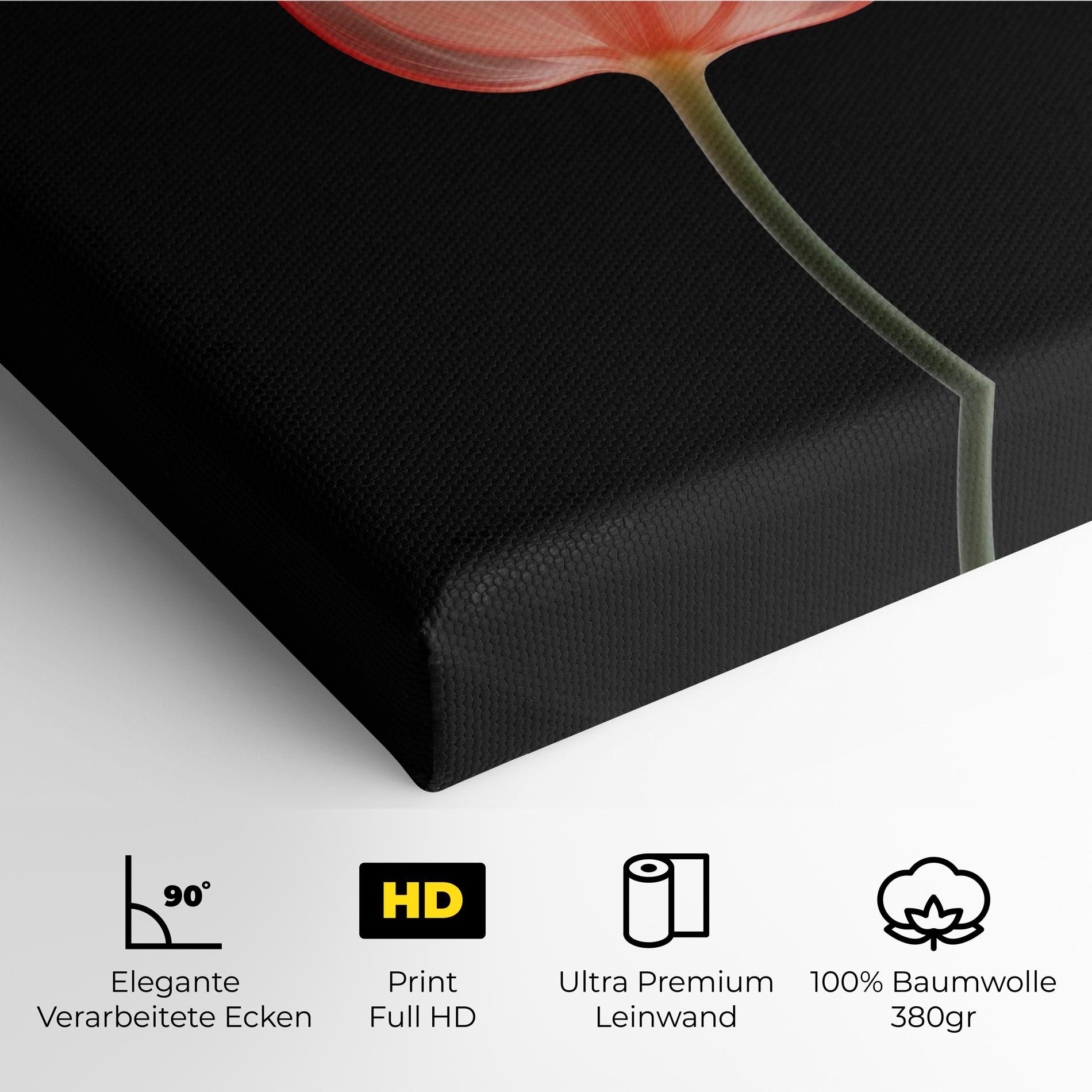 Pastel Pink Tulip mockup 4