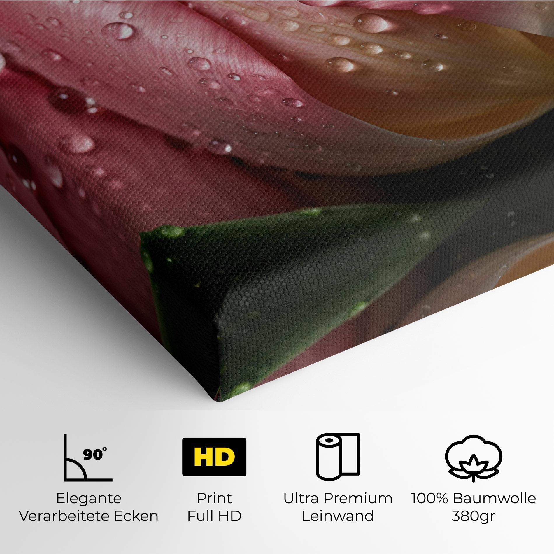 Leinwandbild Pink Tulip With Drops mockup 4