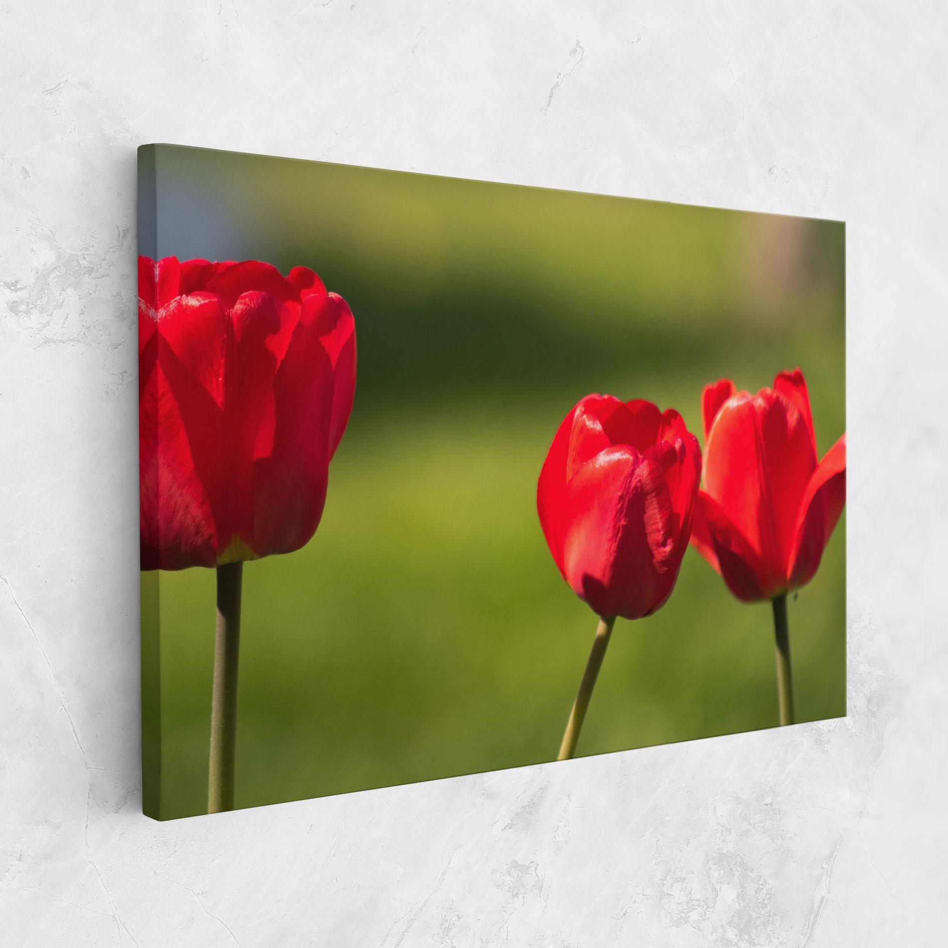Leinwandbild 3 Red Tulips mockup 1
