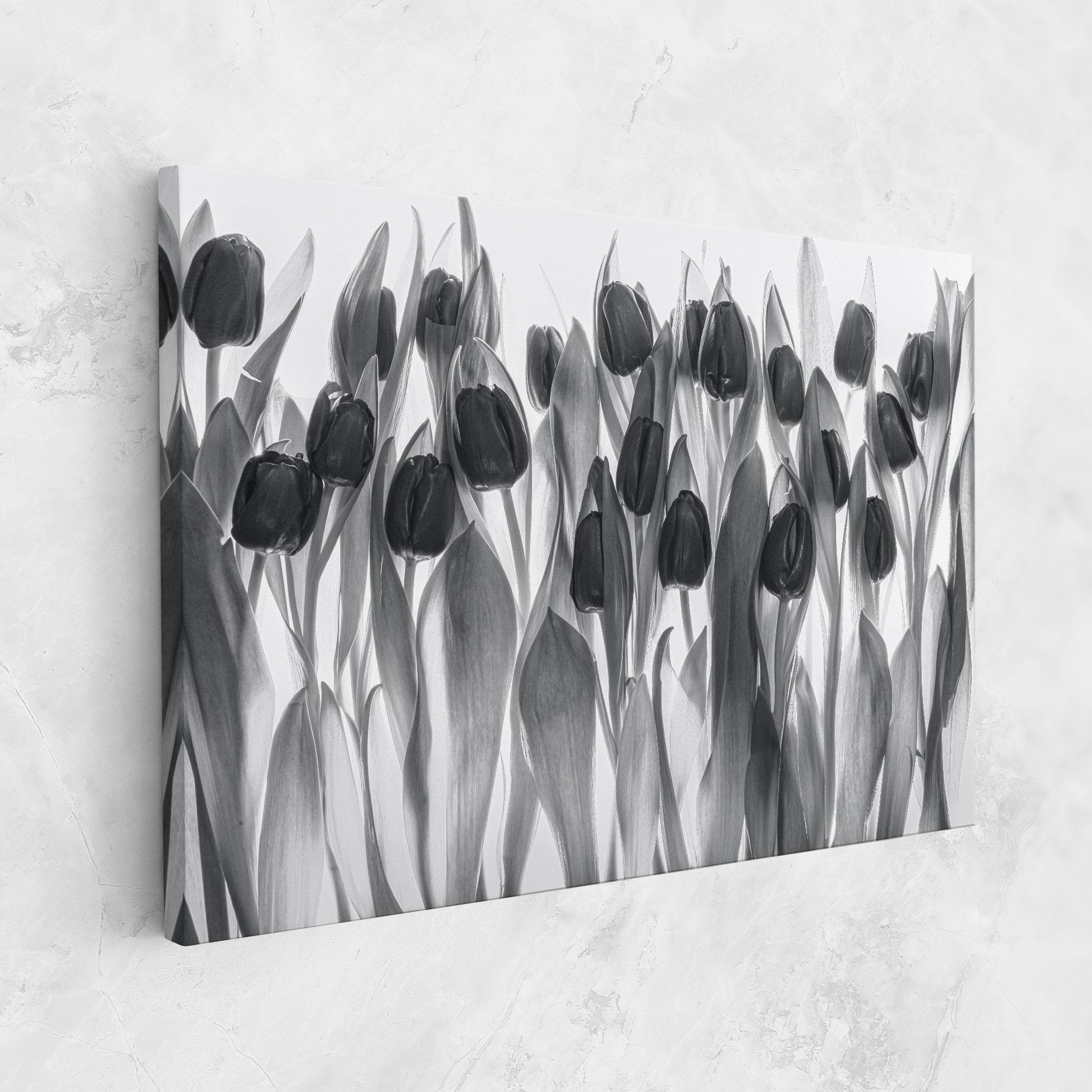 Leinwandbild Grey Tulips mockup 1