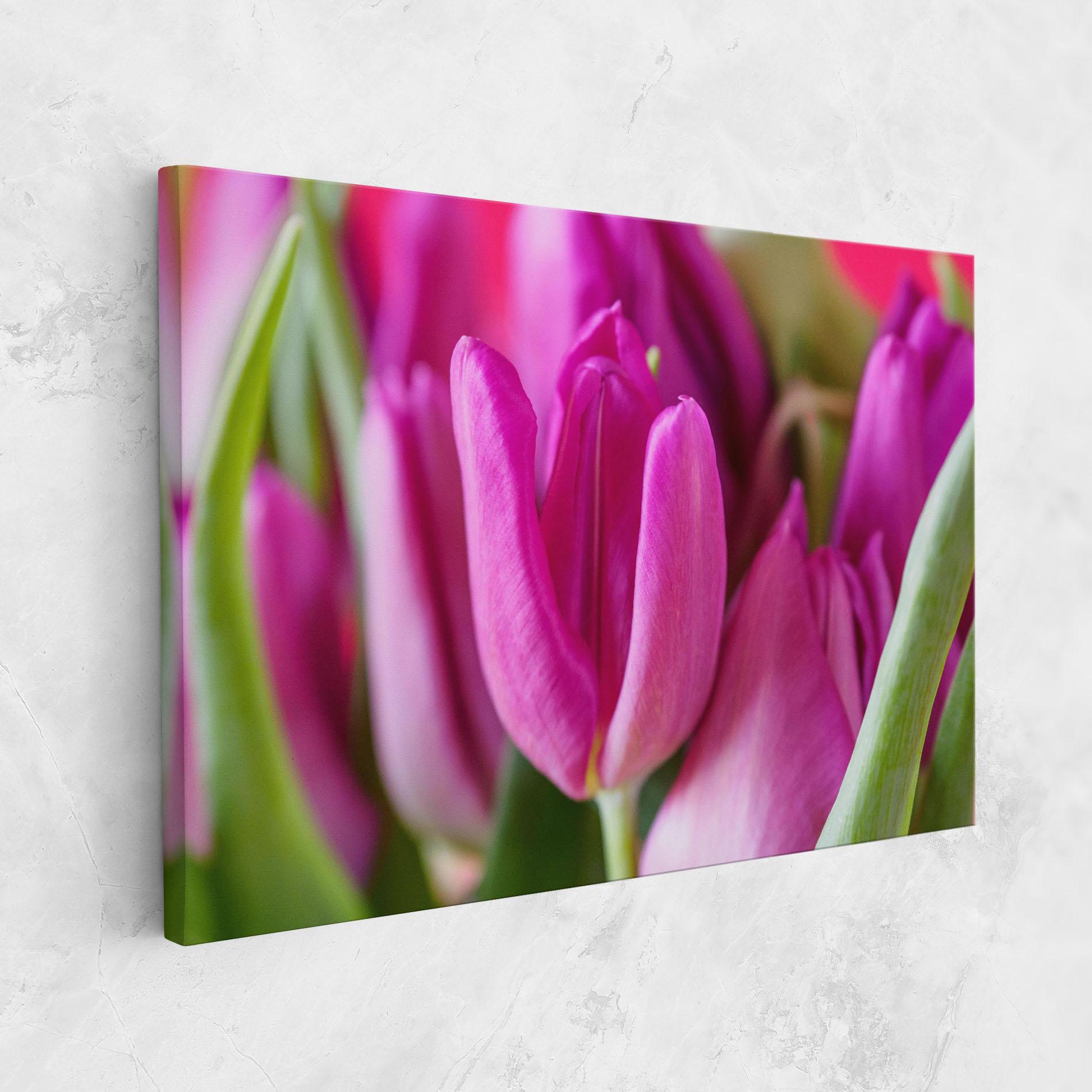 Leinwandbild Purple Tulip Close Up mockup 1