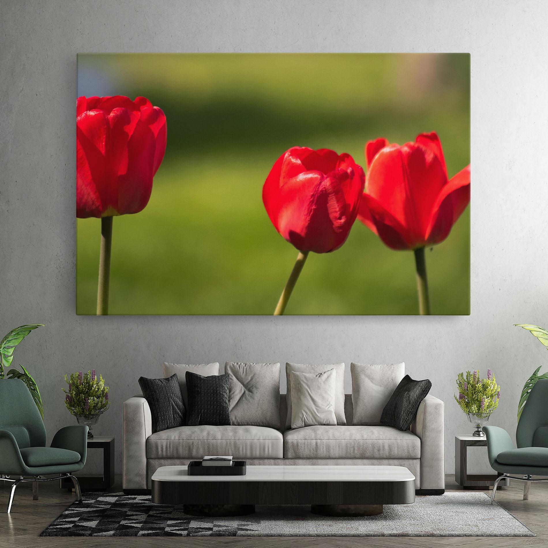 Leinwandbild 3 Red Tulips mockup 7