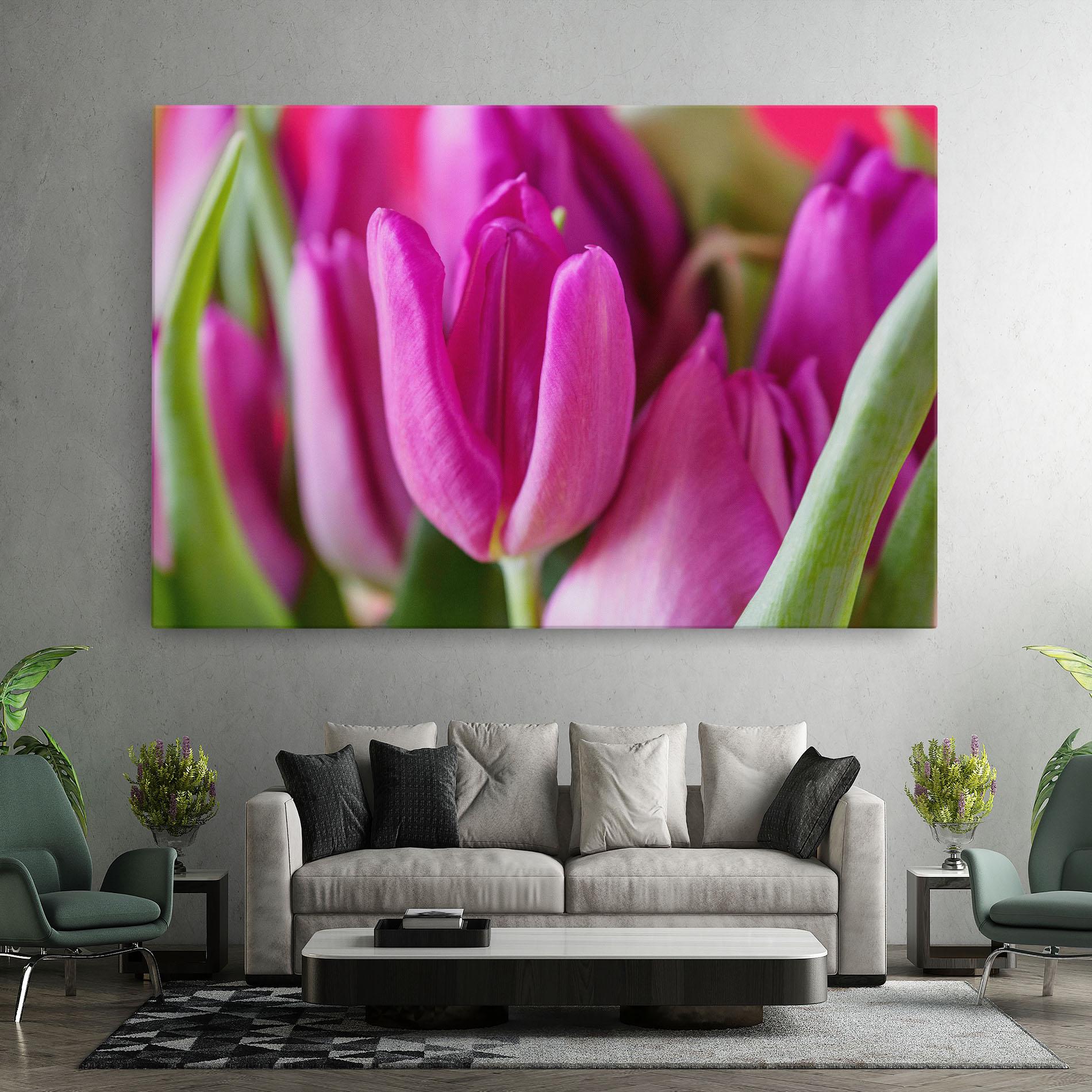 Leinwandbild Purple Tulip Close Up mockup 7