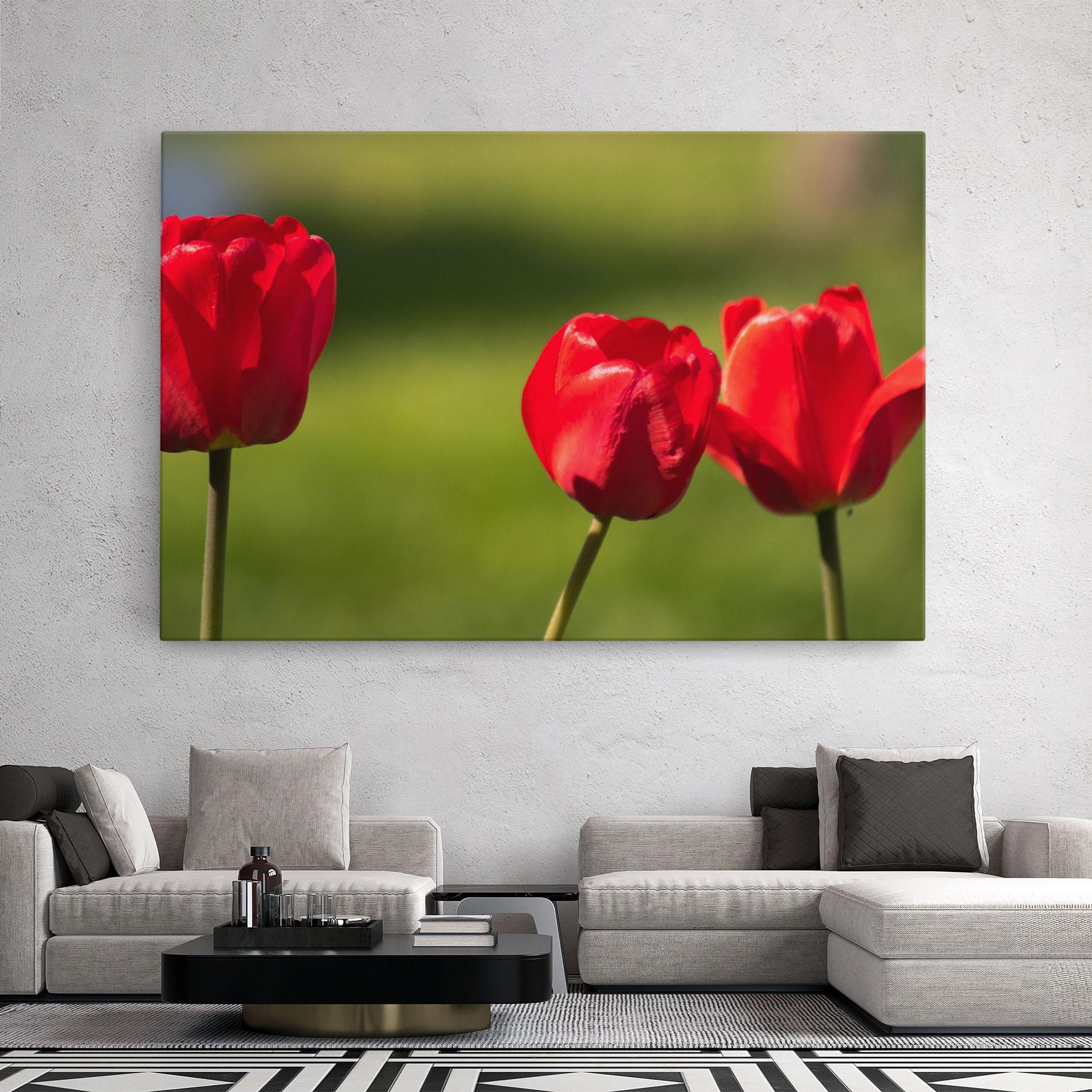 Leinwandbild 3 Red Tulips mockup 2