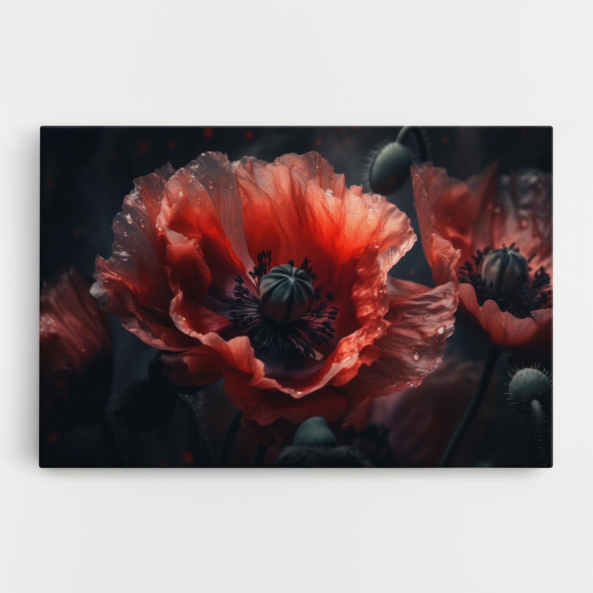 Dark Shade Poppy mockup 0