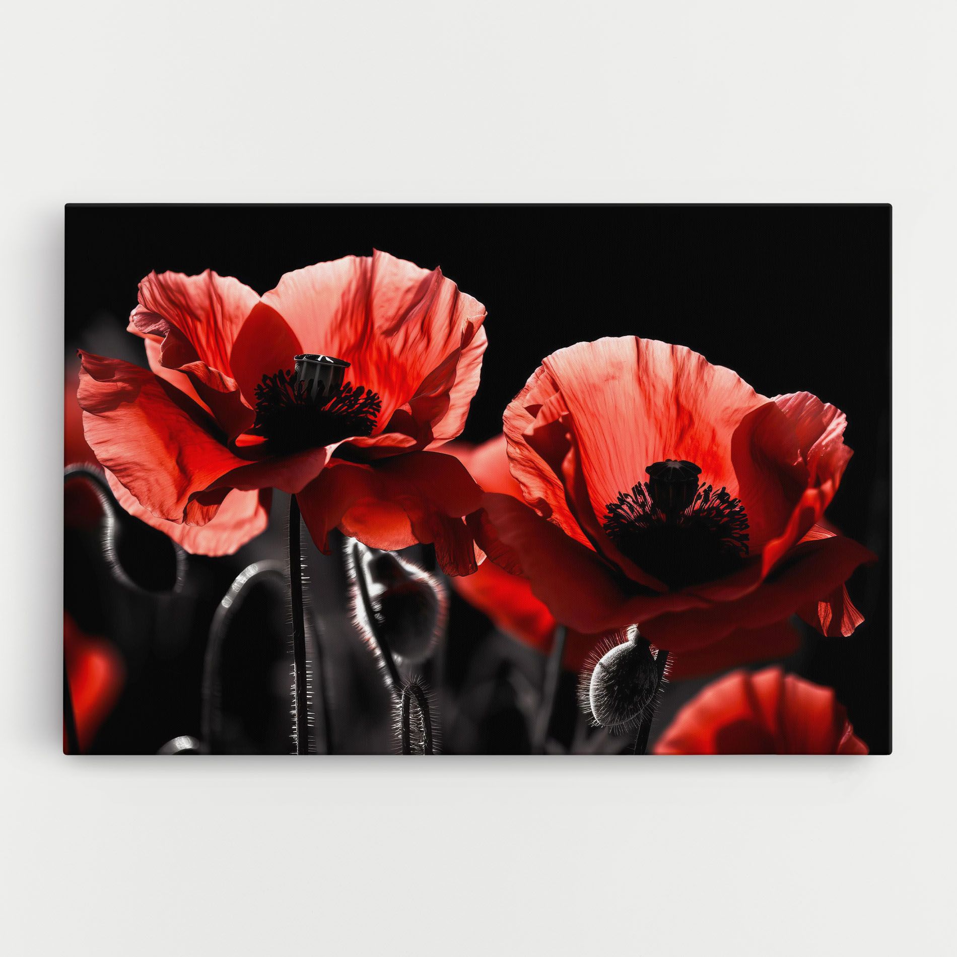 Light Red Poppy On Black mockup 0