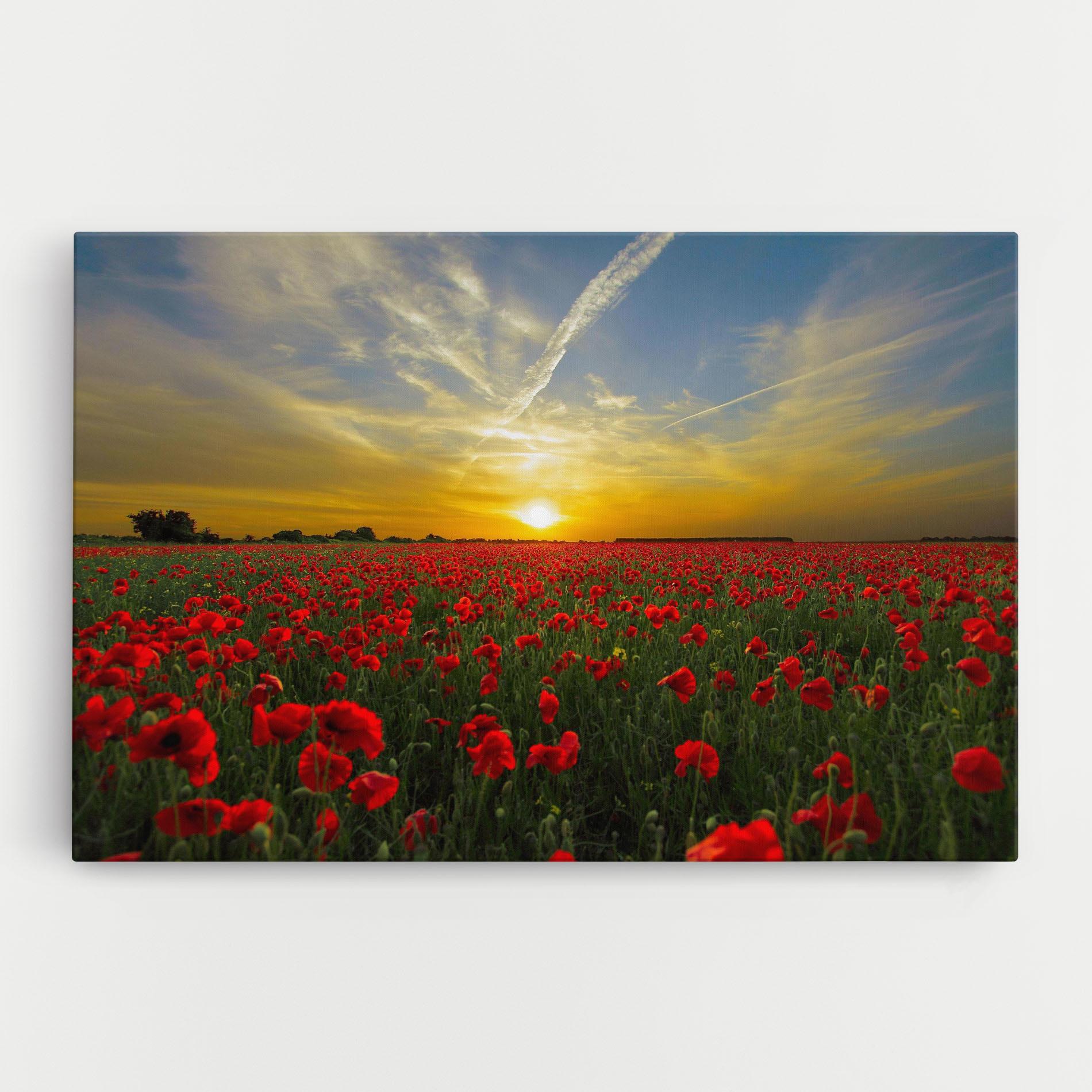 Leinwandbild Poppies Sunset mockup 0