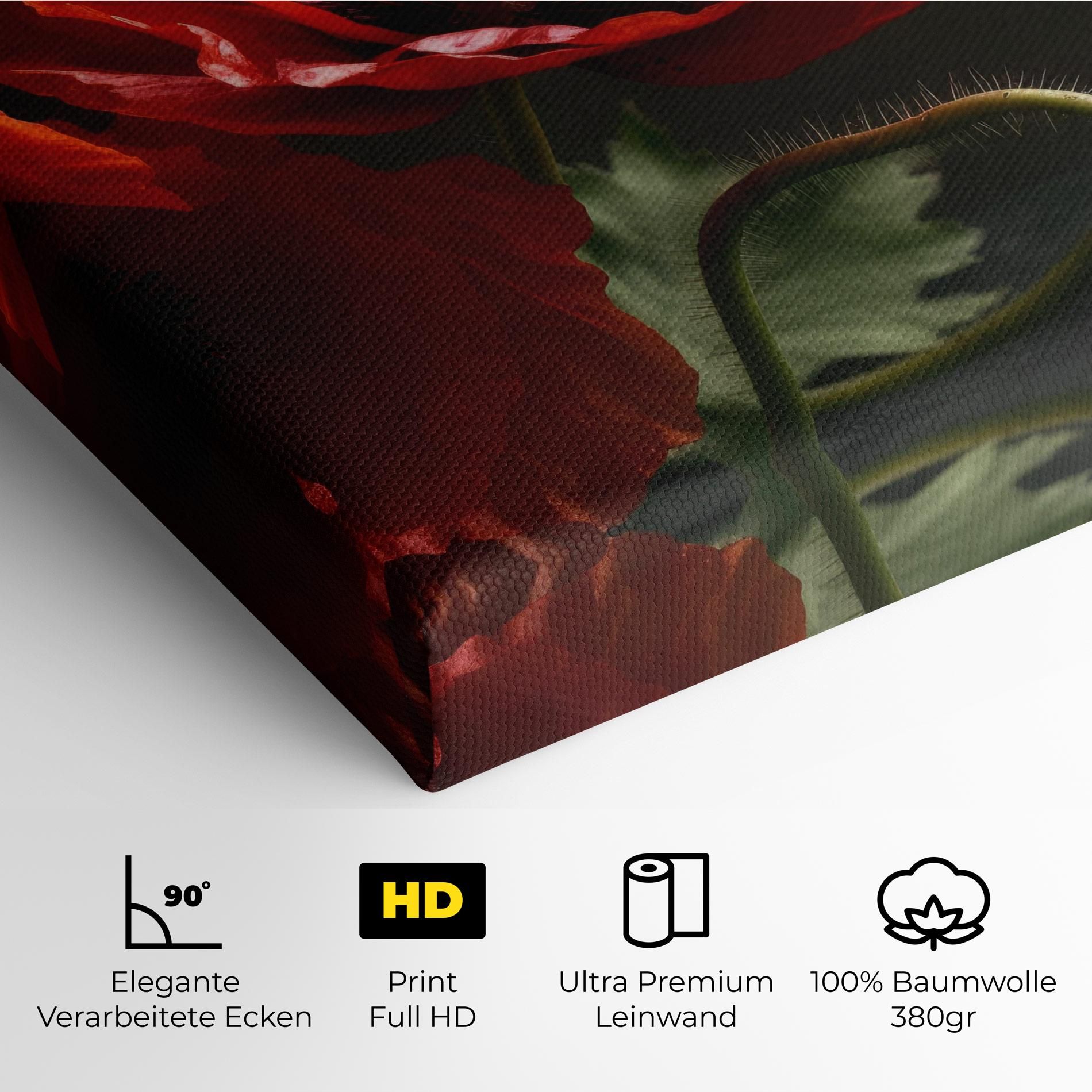 3 Pretty Poppies mockup 4