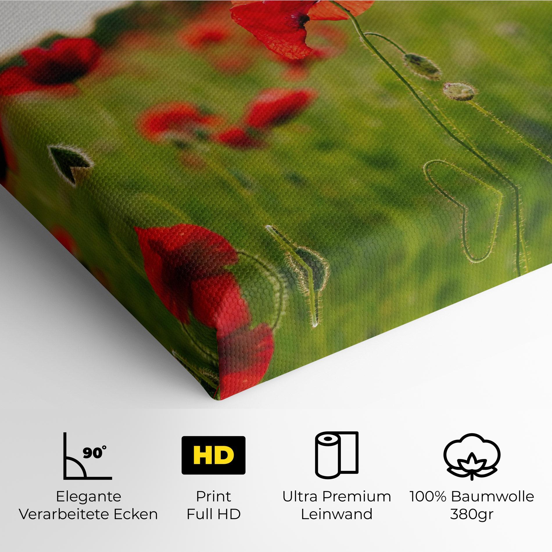 Leinwandbild Poppies Field mockup 4