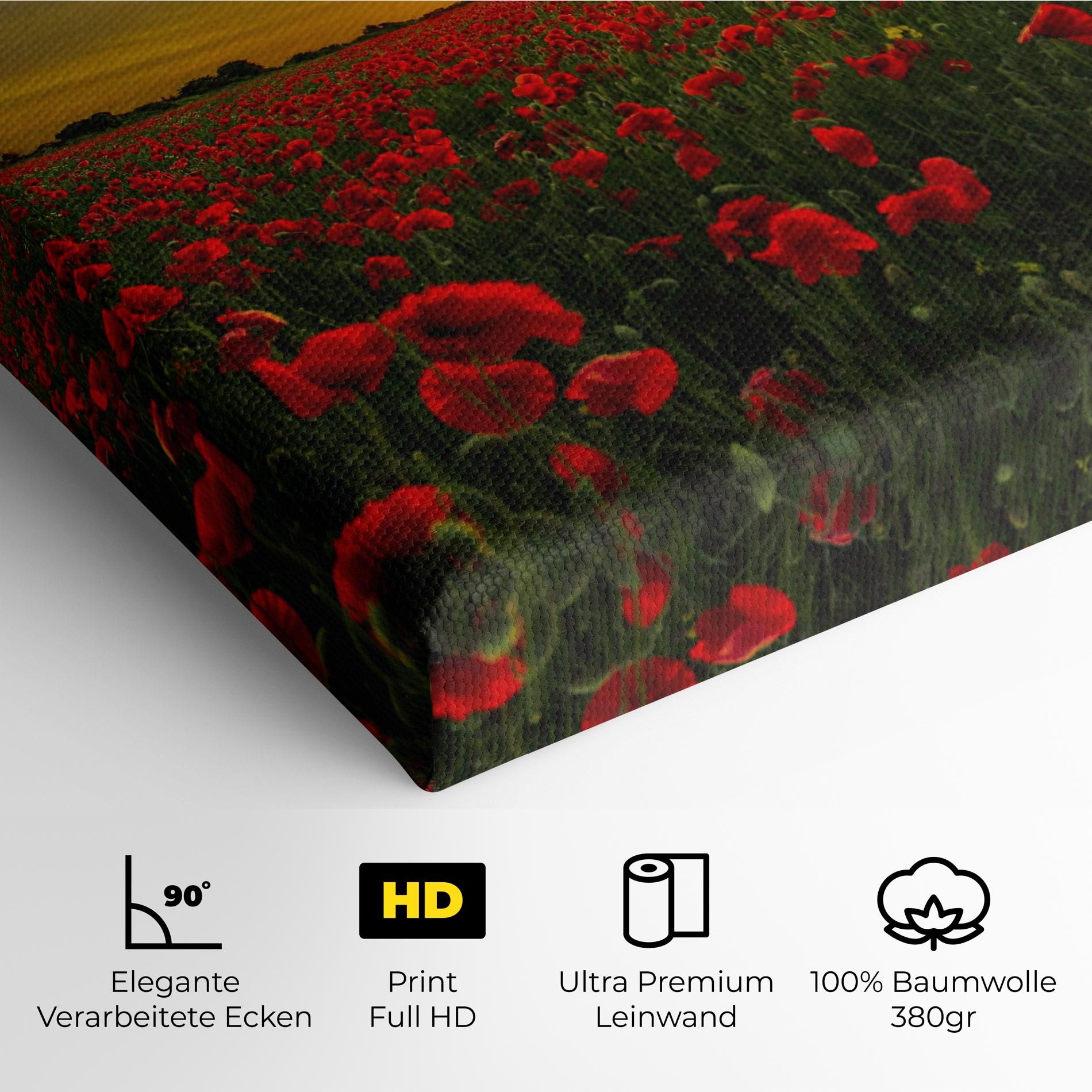 Poppies Sunset mockup 4