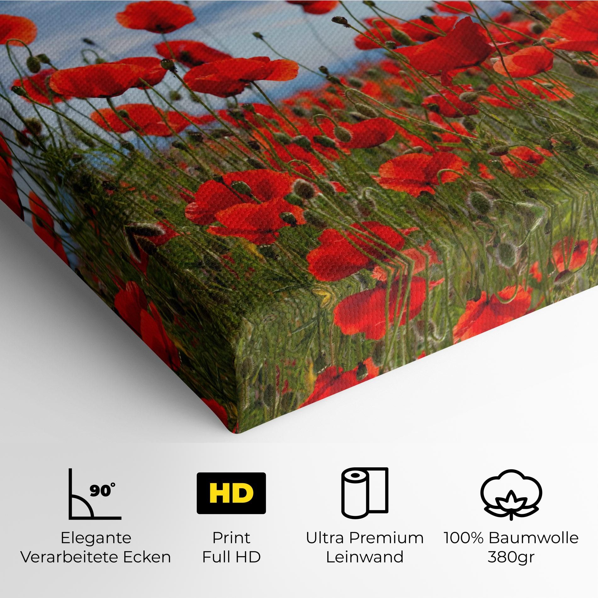 Poppy Field mockup 4