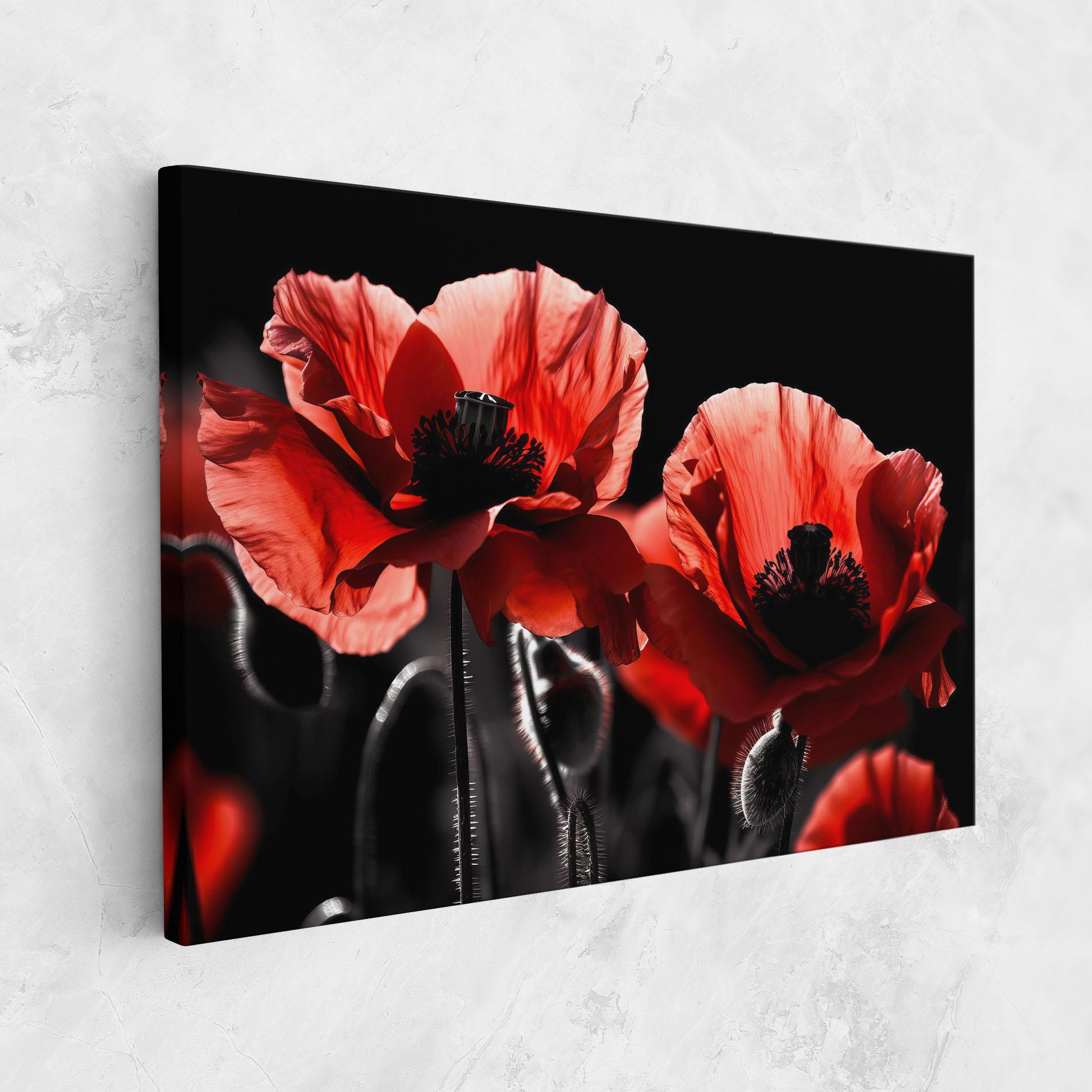Leinwandbild Light Red Poppy On Black mockup 1