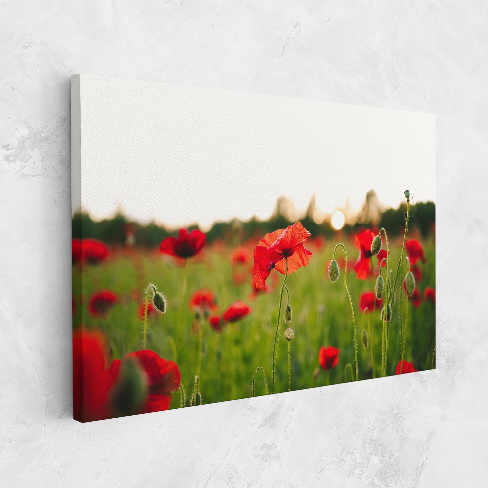Leinwandbild Poppies Field mockup 1