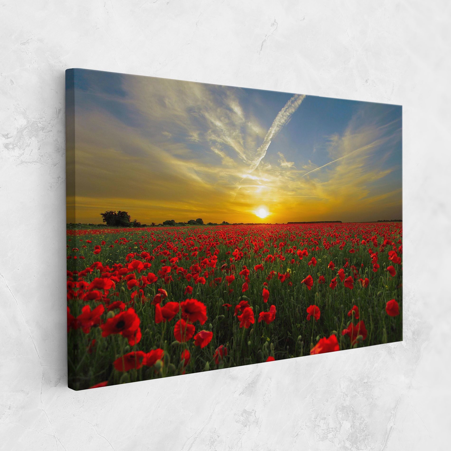 Poppies Sunset mockup 1