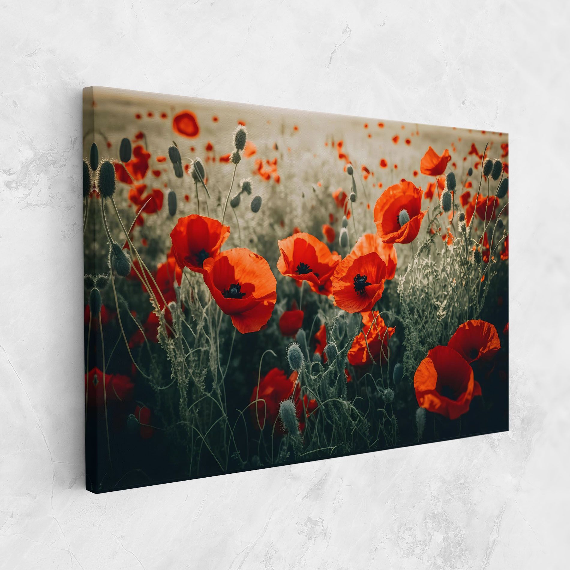 Poppy Grass Field mockup 1