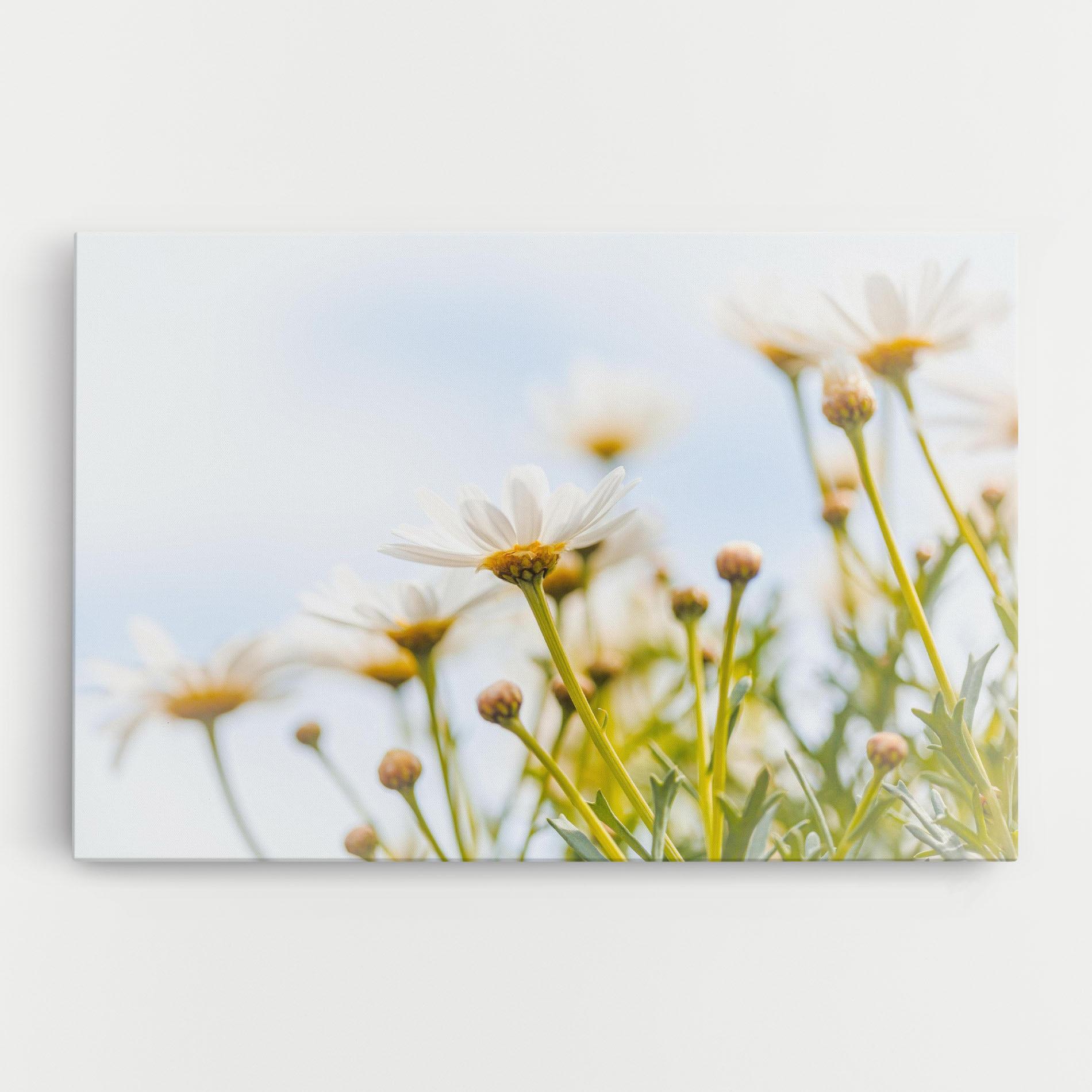 Leinwandbild Dreamy Daisy mockup 0