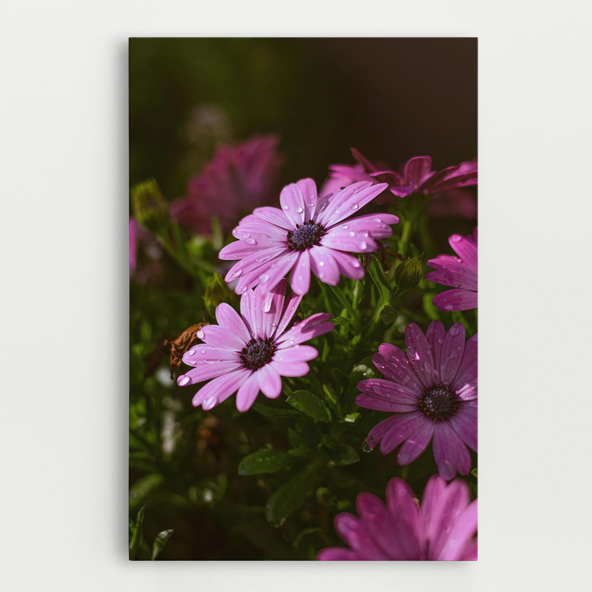 Leinwandbild Purple Daisy mockup 0