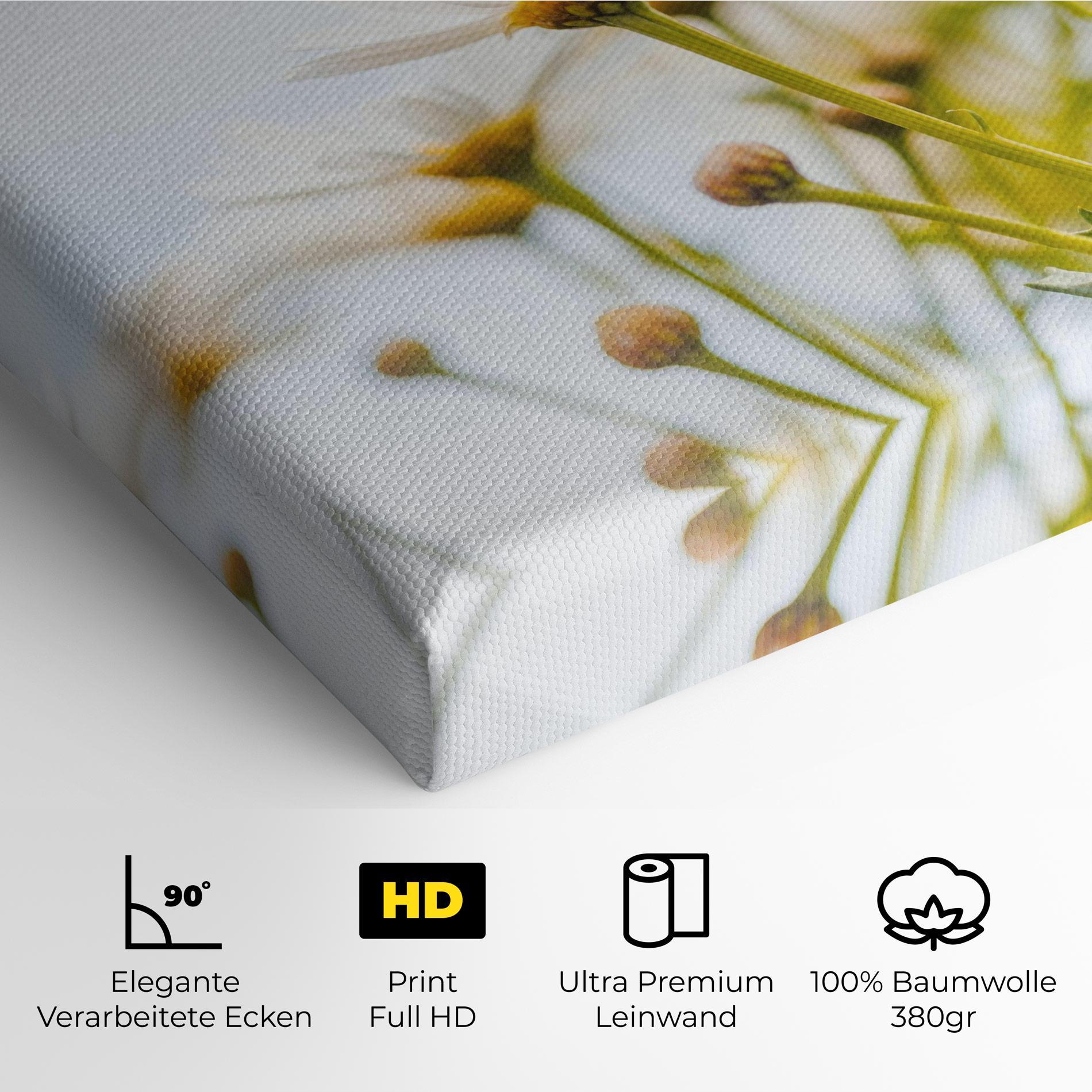 Leinwandbild Dreamy Daisy mockup 4