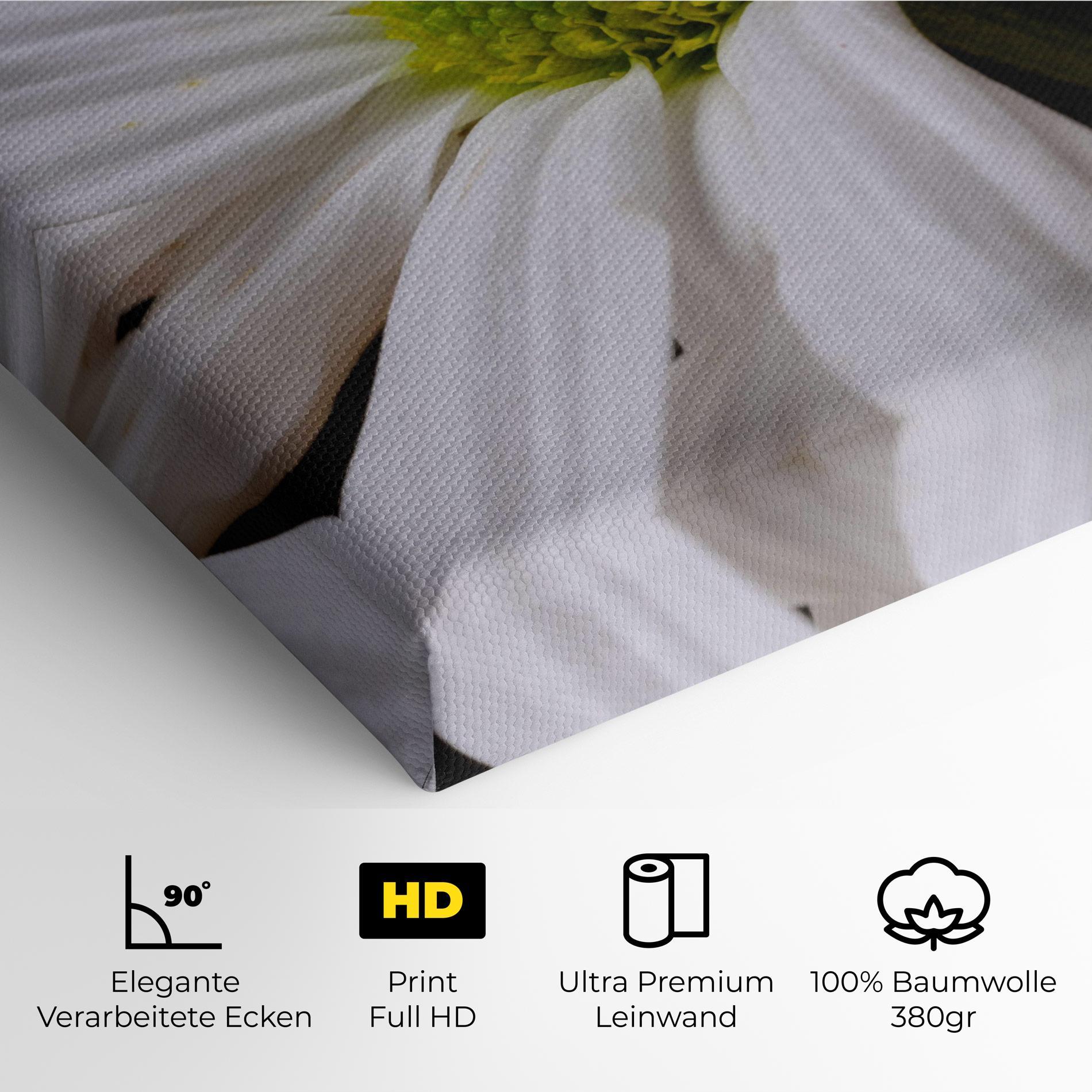 Leinwandbild Green Middle Daisy mockup 4