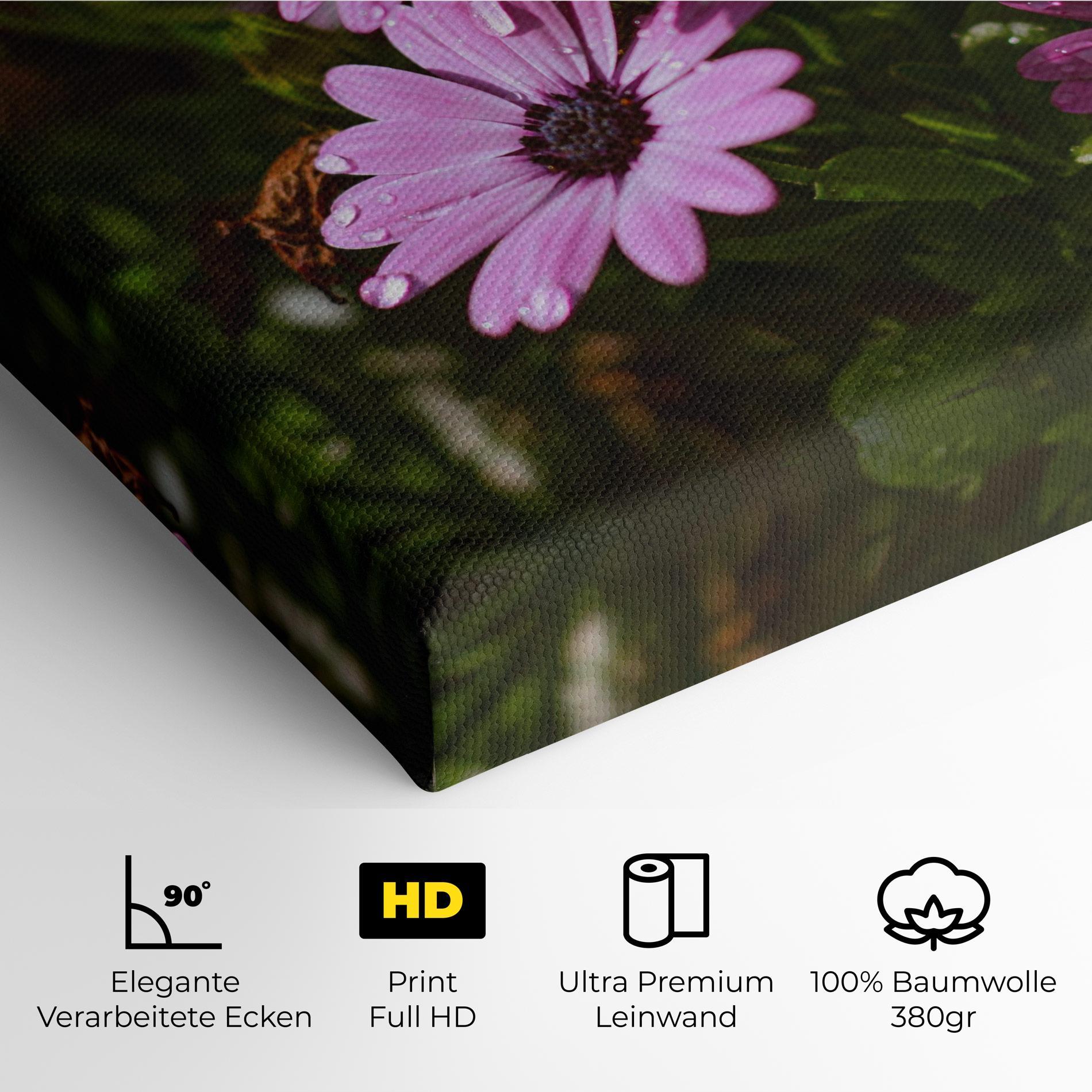 Leinwandbild Purple Daisy mockup 4