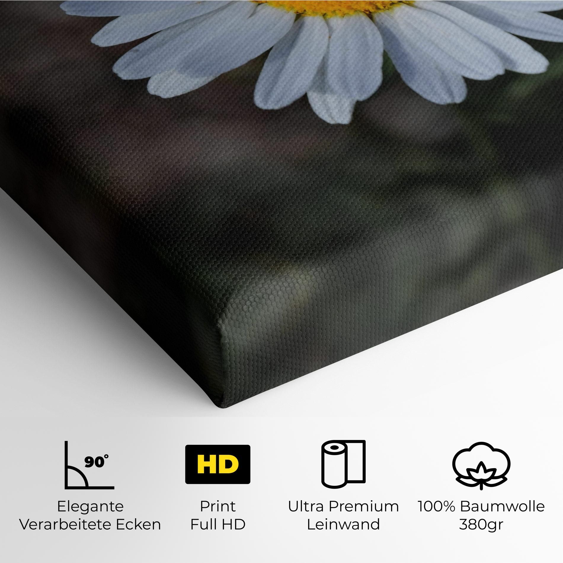 Strong Yellow Daisy mockup 4